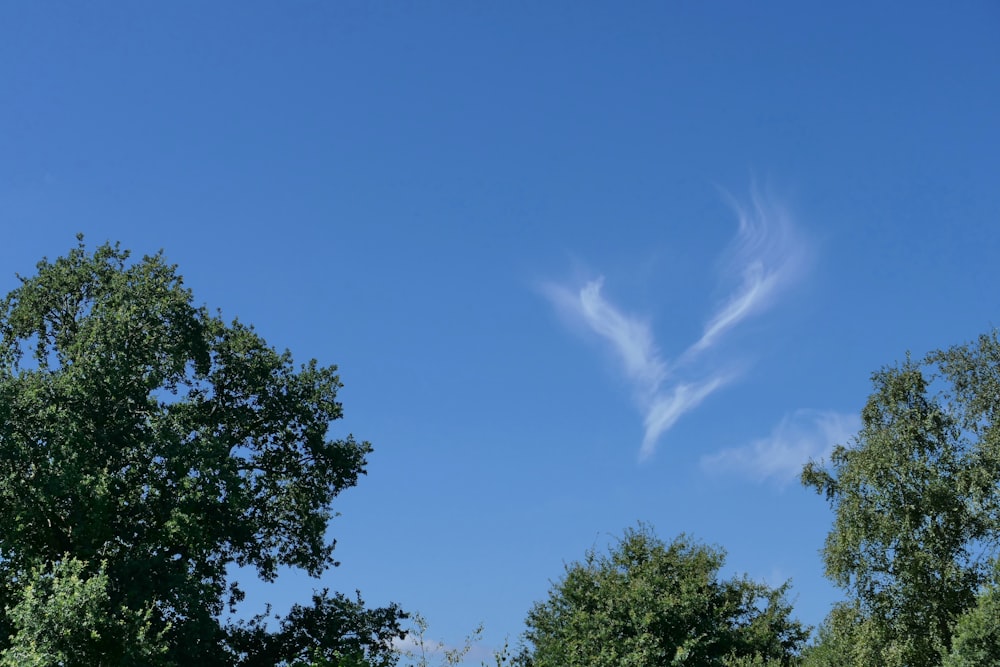 a cloud in the sky above some trees