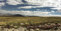 a grassy field with mountains in the background