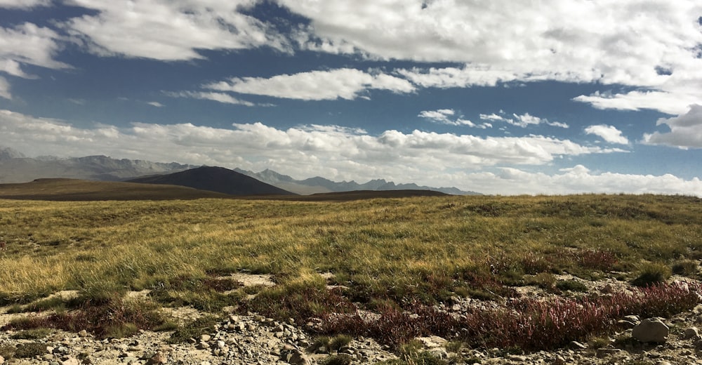 a grassy field with mountains in the background