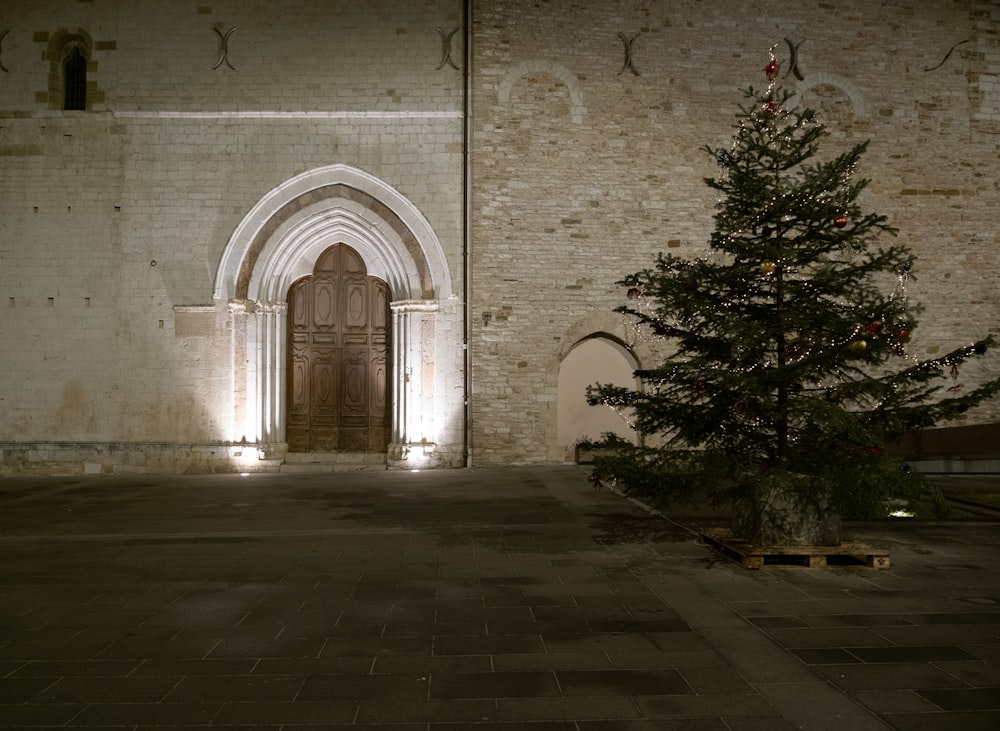 a small christmas tree in front of a building