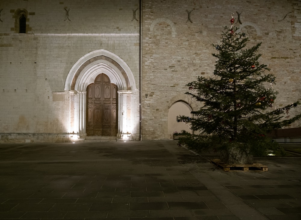 Ein kleiner Weihnachtsbaum vor einem Gebäude