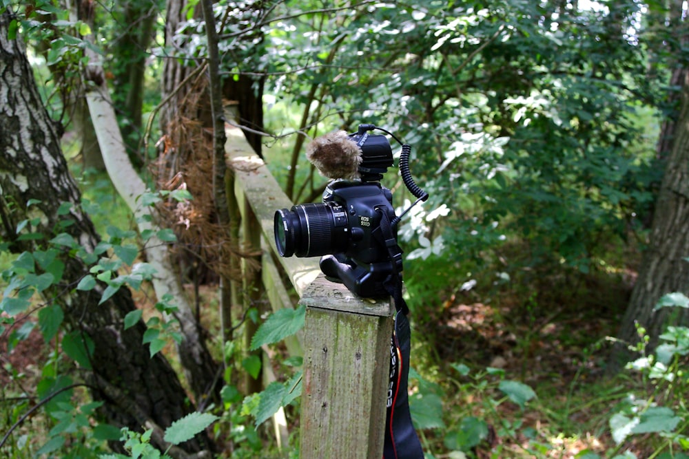 a camera sitting on top of a wooden post in the woods