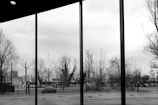 A black and white photograph capturing a view through large glass windows. Outside, leafless trees stand against a cloudy sky, and a cityscape is faintly visible in the distance. The scene is divided by the window frames, adding a structured element to the natural view.
