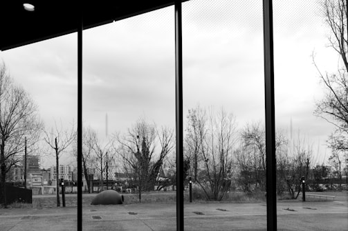 A black and white photograph capturing a view through large glass windows. Outside, leafless trees stand against a cloudy sky, and a cityscape is faintly visible in the distance. The scene is divided by the window frames, adding a structured element to the natural view.