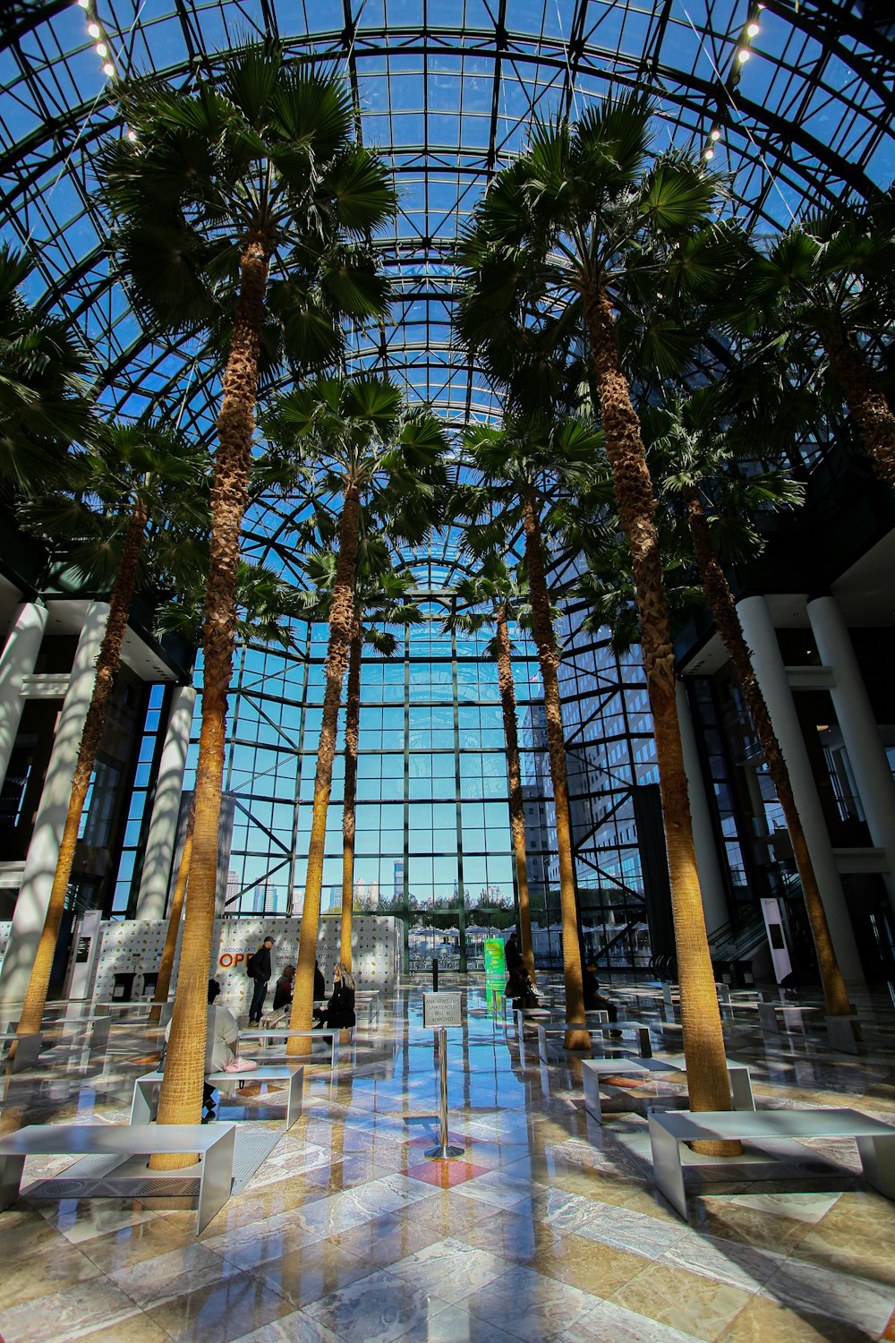 a large building with a lot of palm trees inside of it