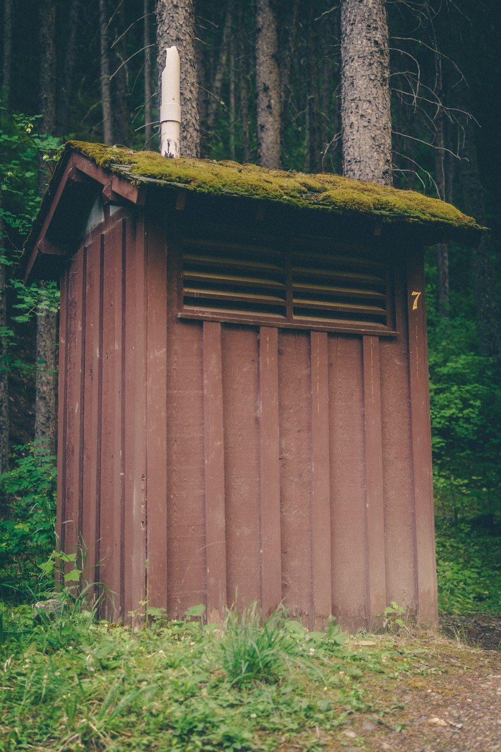 a small outhouse in the middle of a forest