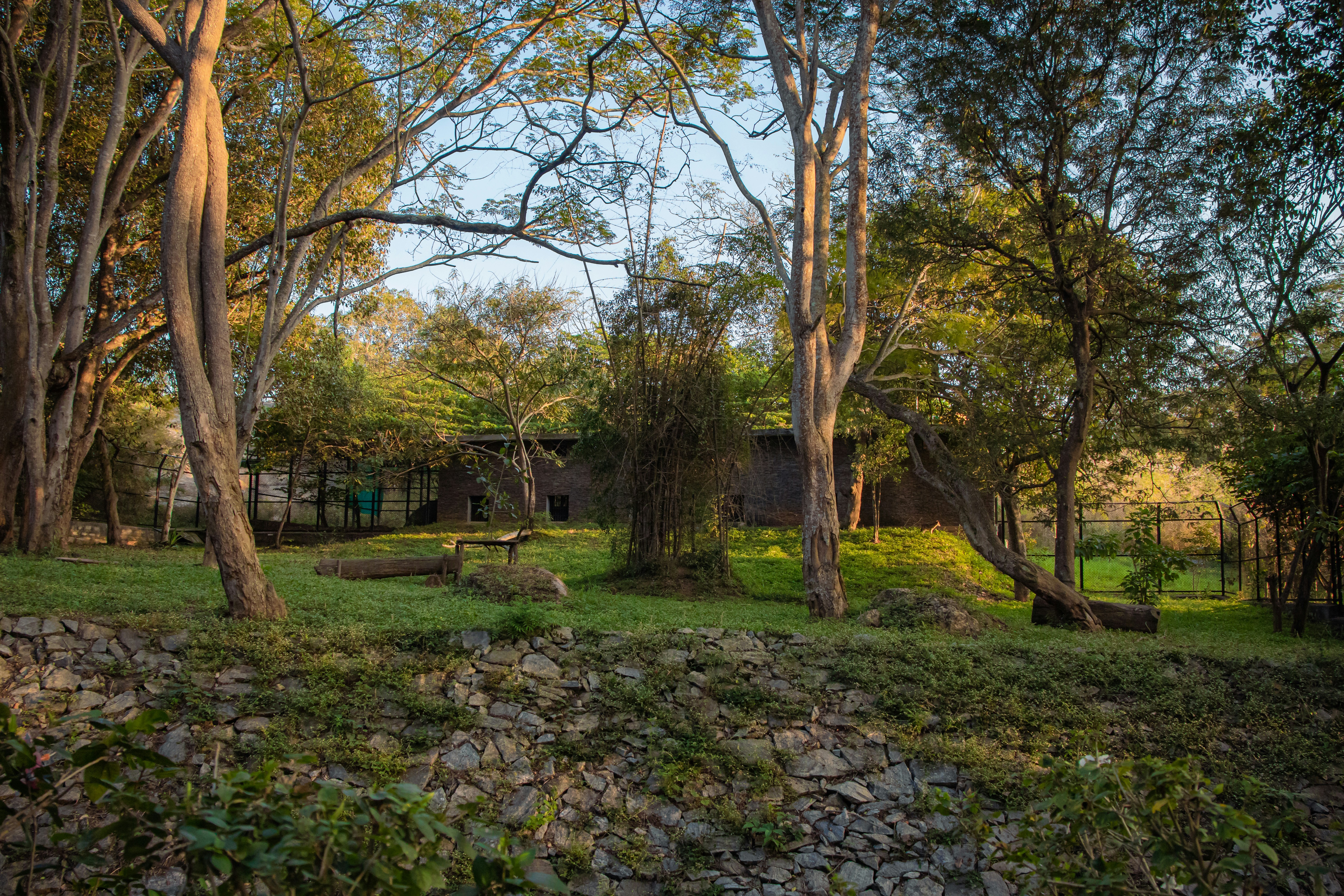 Photo by sameer_srivastava