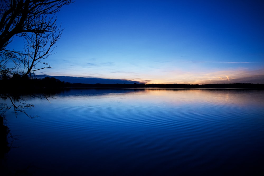 a body of water with a tree in the foreground