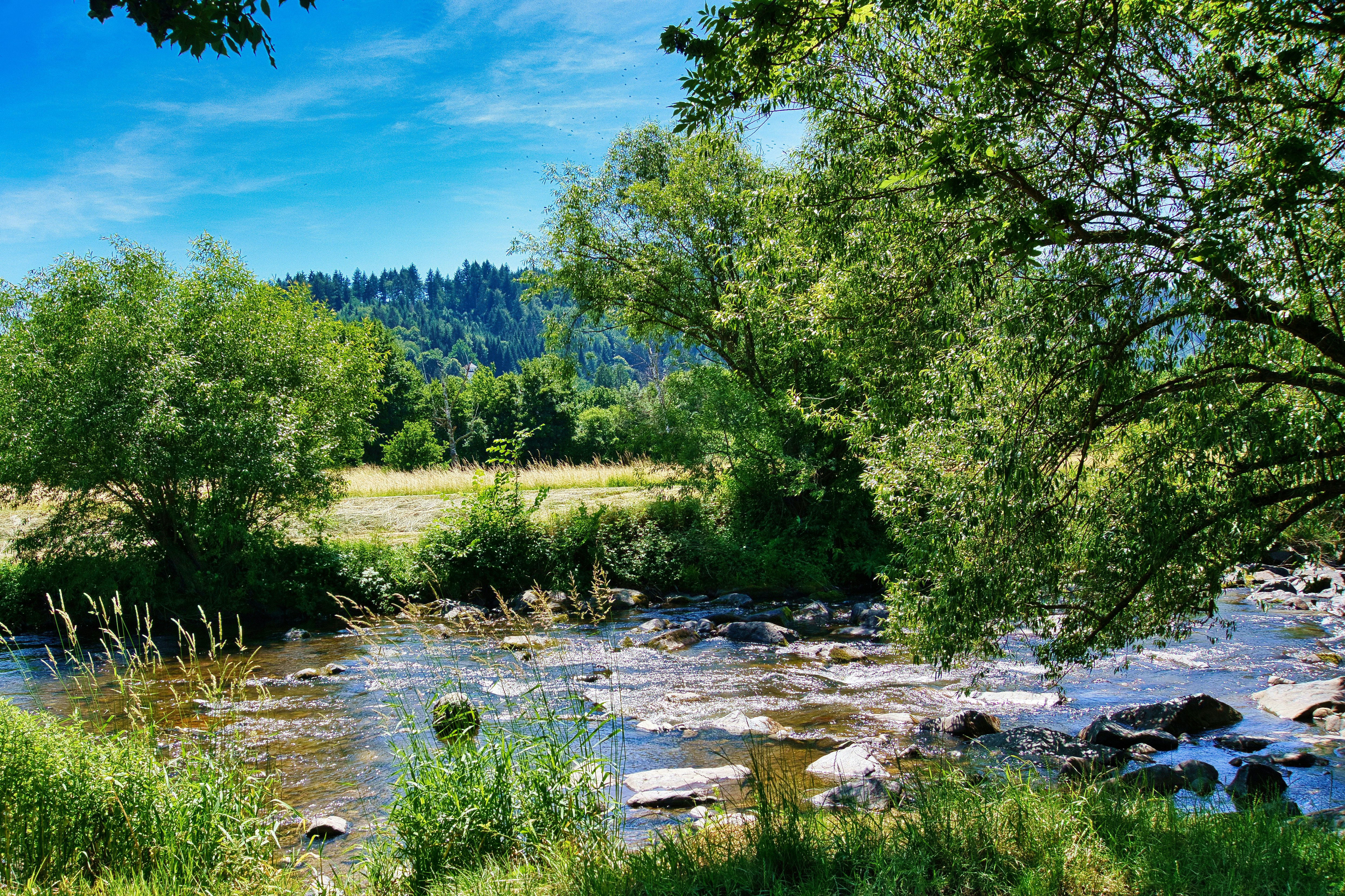 Photo by kandelin_thewind