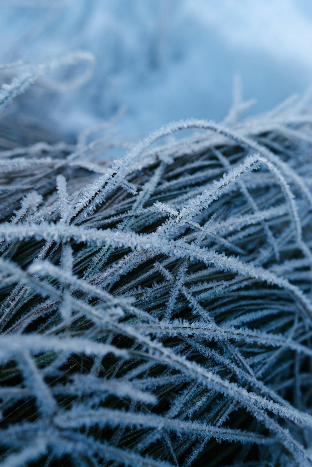 a close up of a bunch of ice crystals