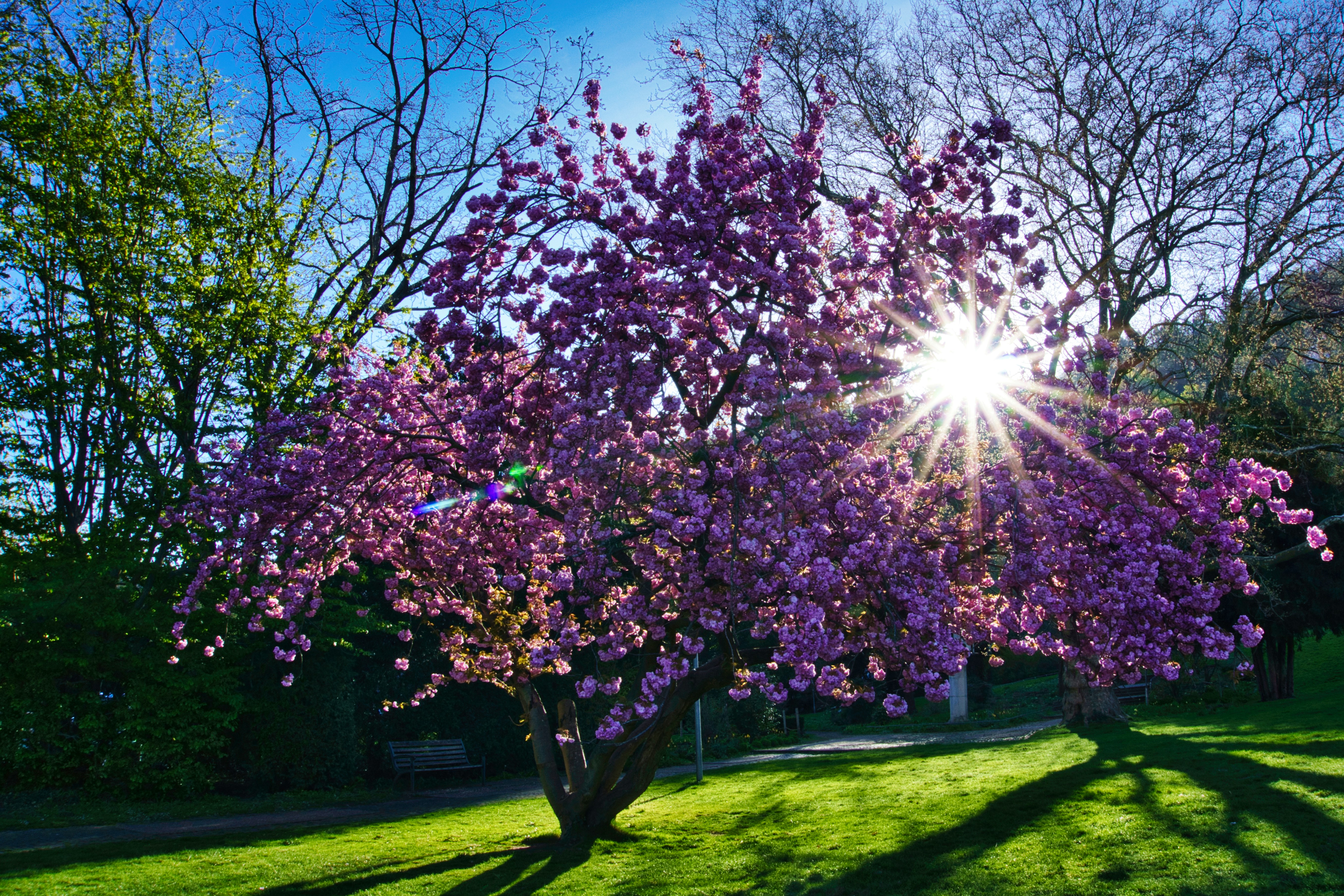 Photo by kandelin_thewind