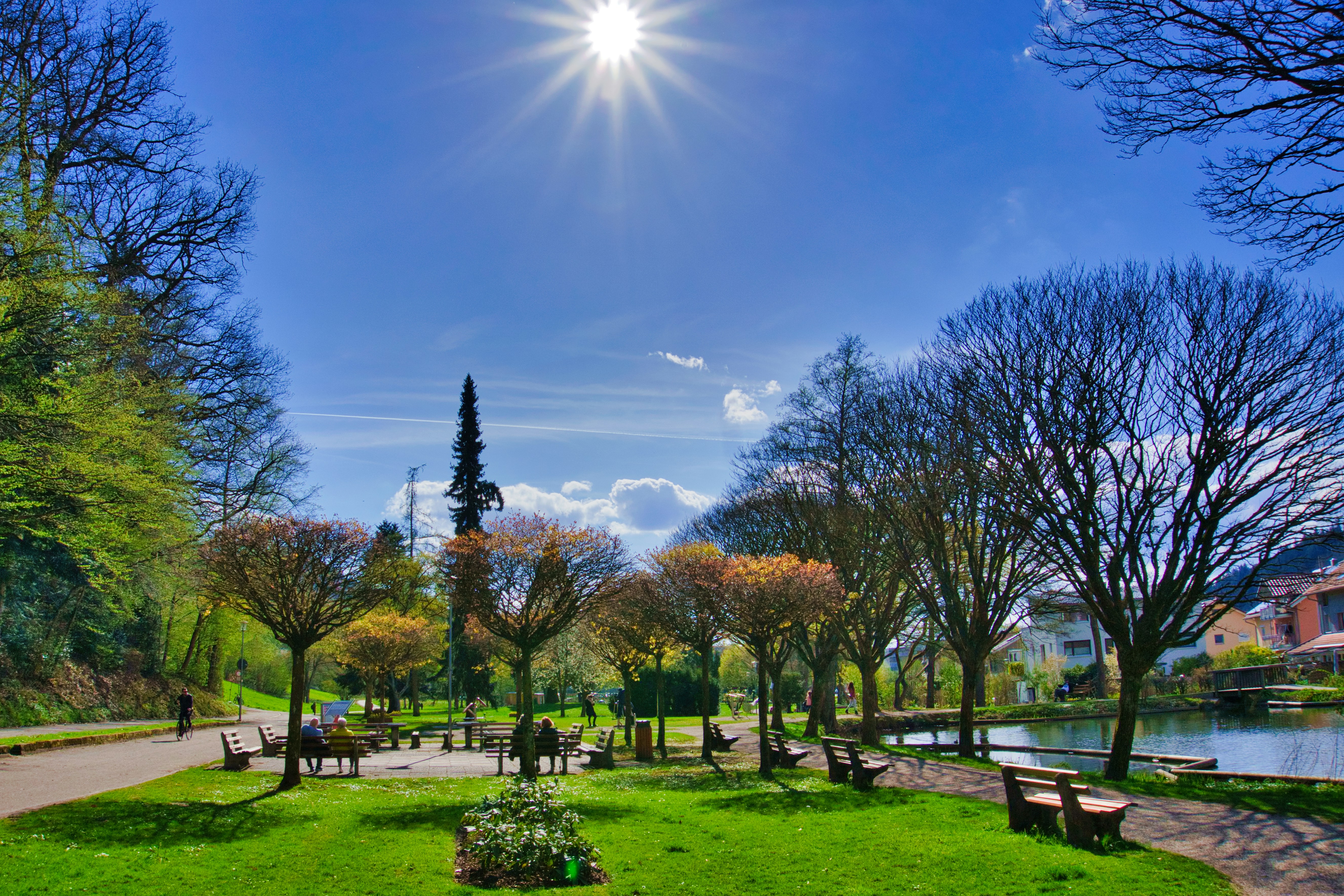 Photo by kandelin_thewind