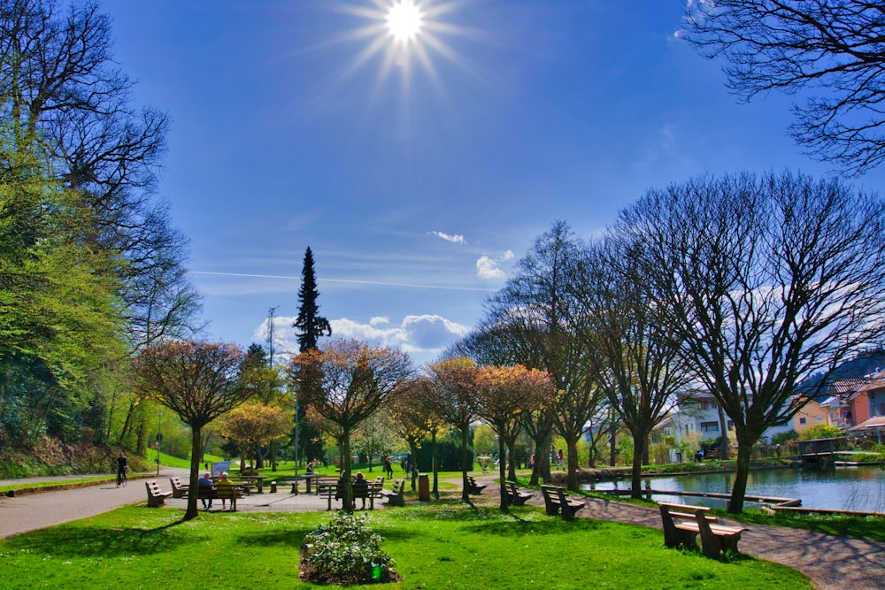 o sol brilha intensamente sobre um parque com bancos e árvores