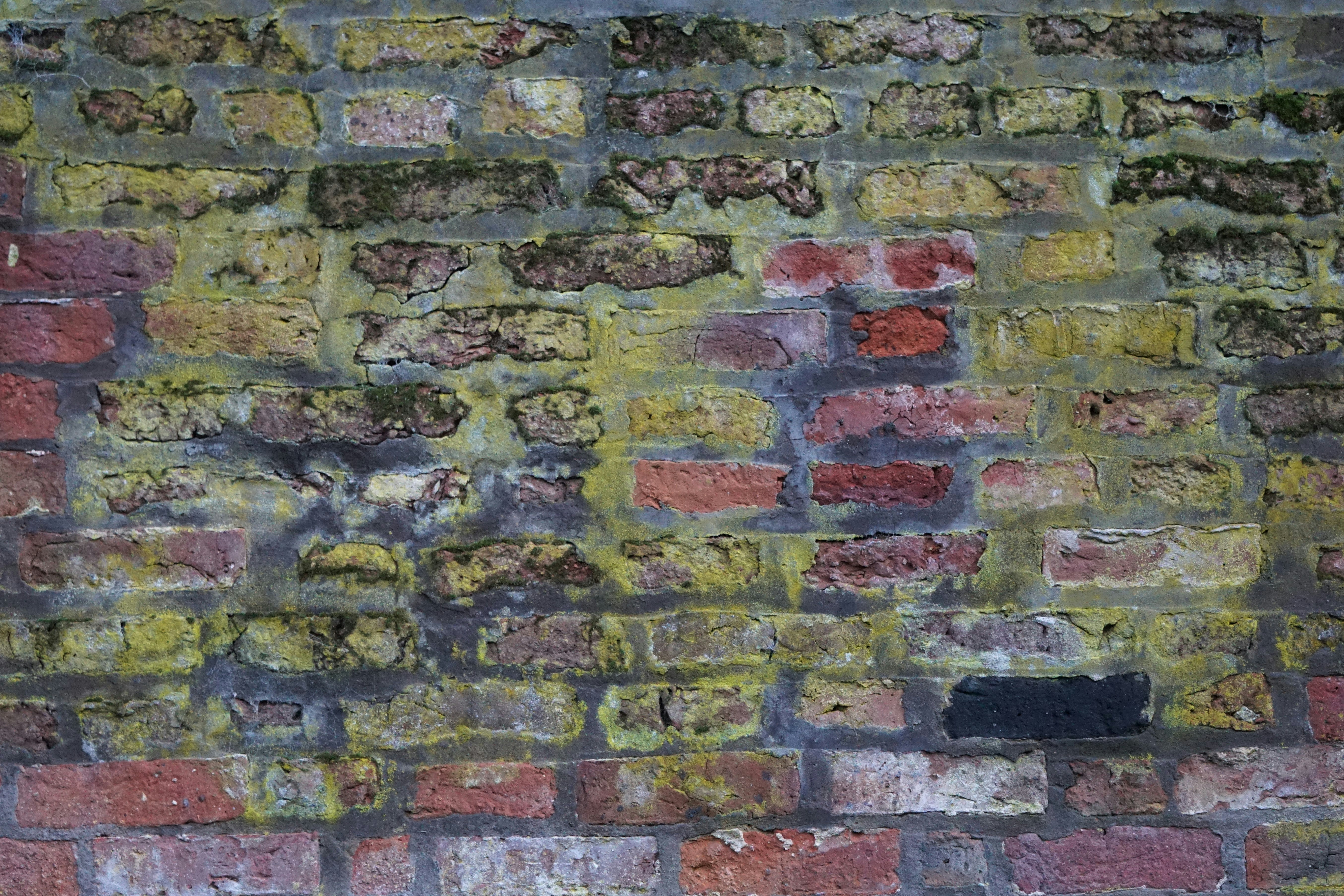 Photo by mostlymarvelling