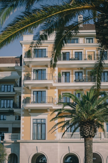 a palm tree in front of a building
