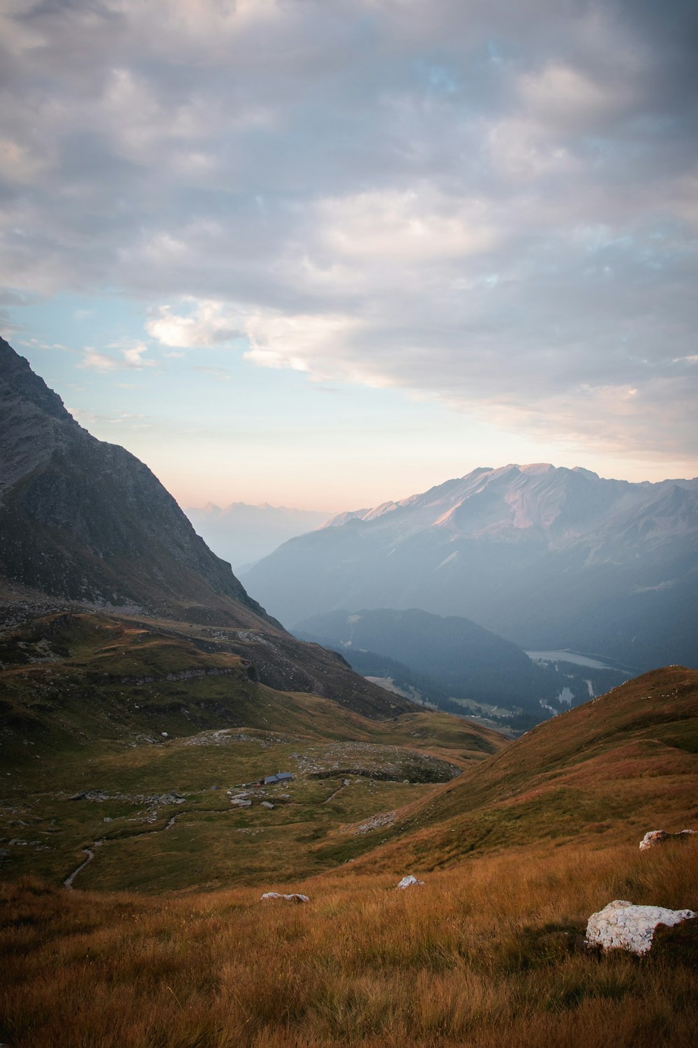 a grassy field with a mountain in the background