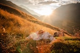 Golden hour light bathing a lone traveler photographing a mountain vista.
