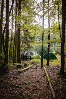 A two-person camping tent pitched in a lush green forest with morning sunlight filtering through the trees.