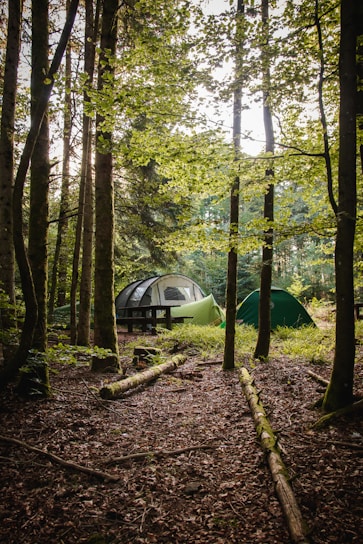 A two-person camping tent pitched in a lush green forest with morning sunlight filtering through the trees.