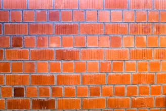 A close-up view of a brick wall with evenly spaced rectangular orange bricks. Each brick has a slightly rough texture and some display subtle variations in color and surface. The bricks are arranged in a classic running bond pattern with visible cement mortar between them.