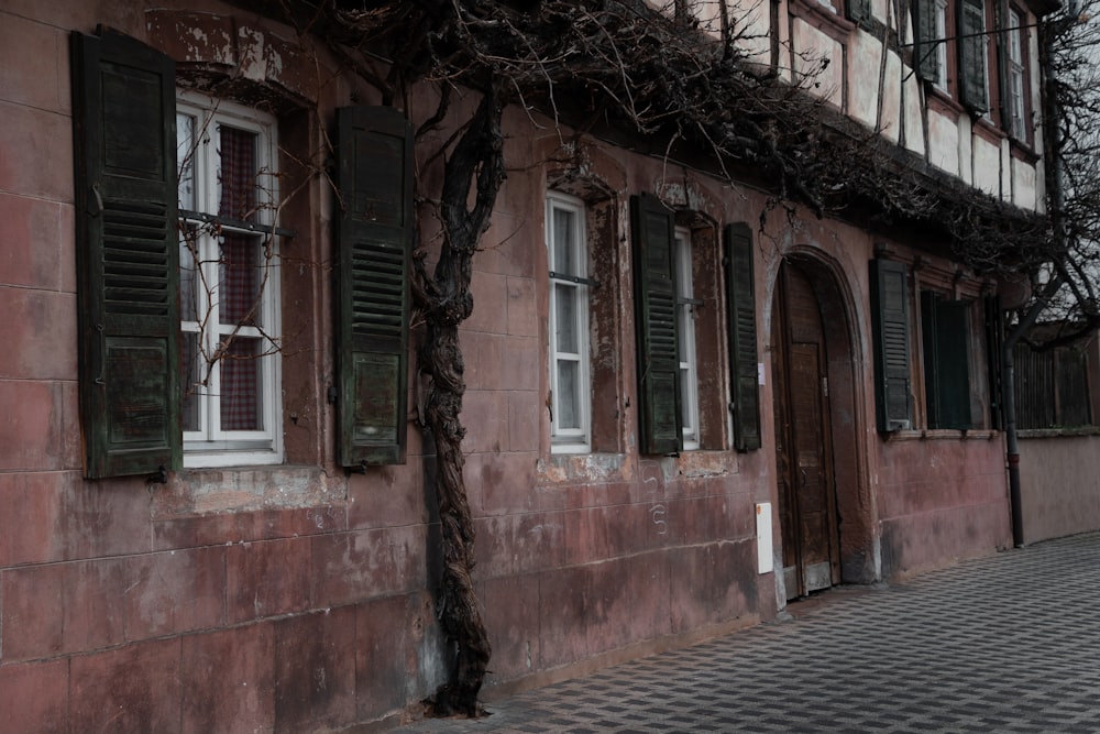 a building with green shutters and a tree in front of it