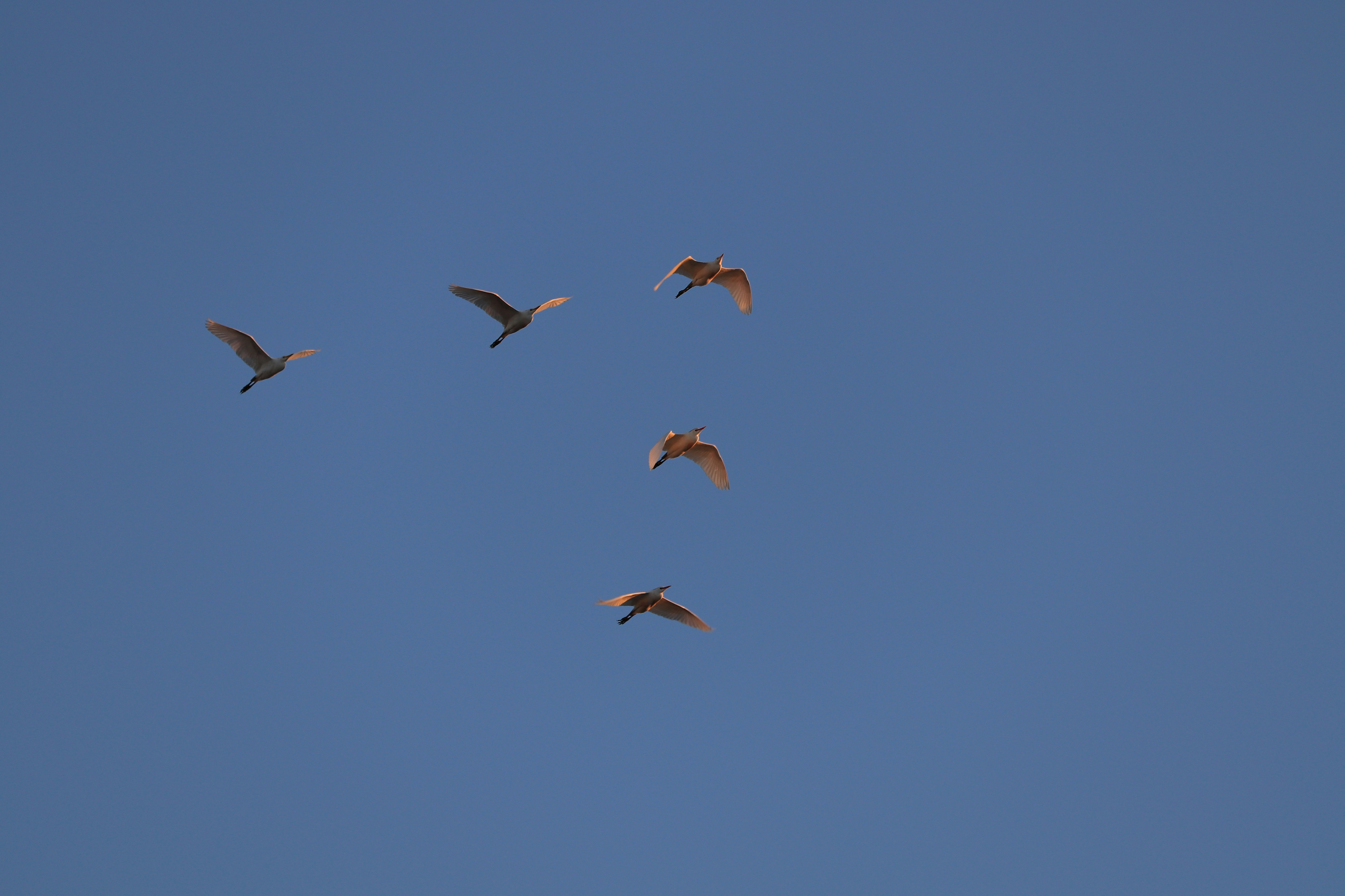 Photo by alexcaceres