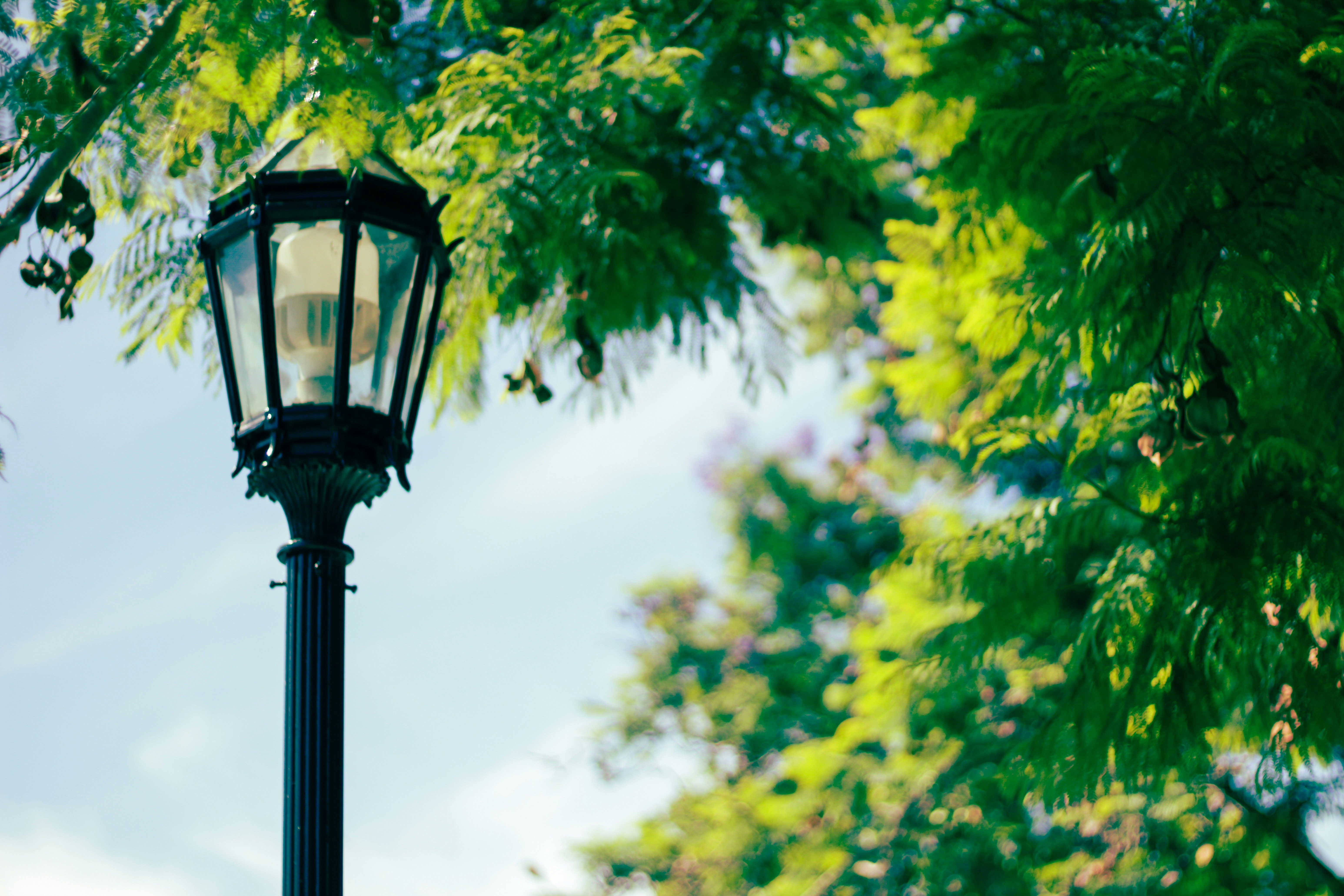 Photo by carolinaalmeida