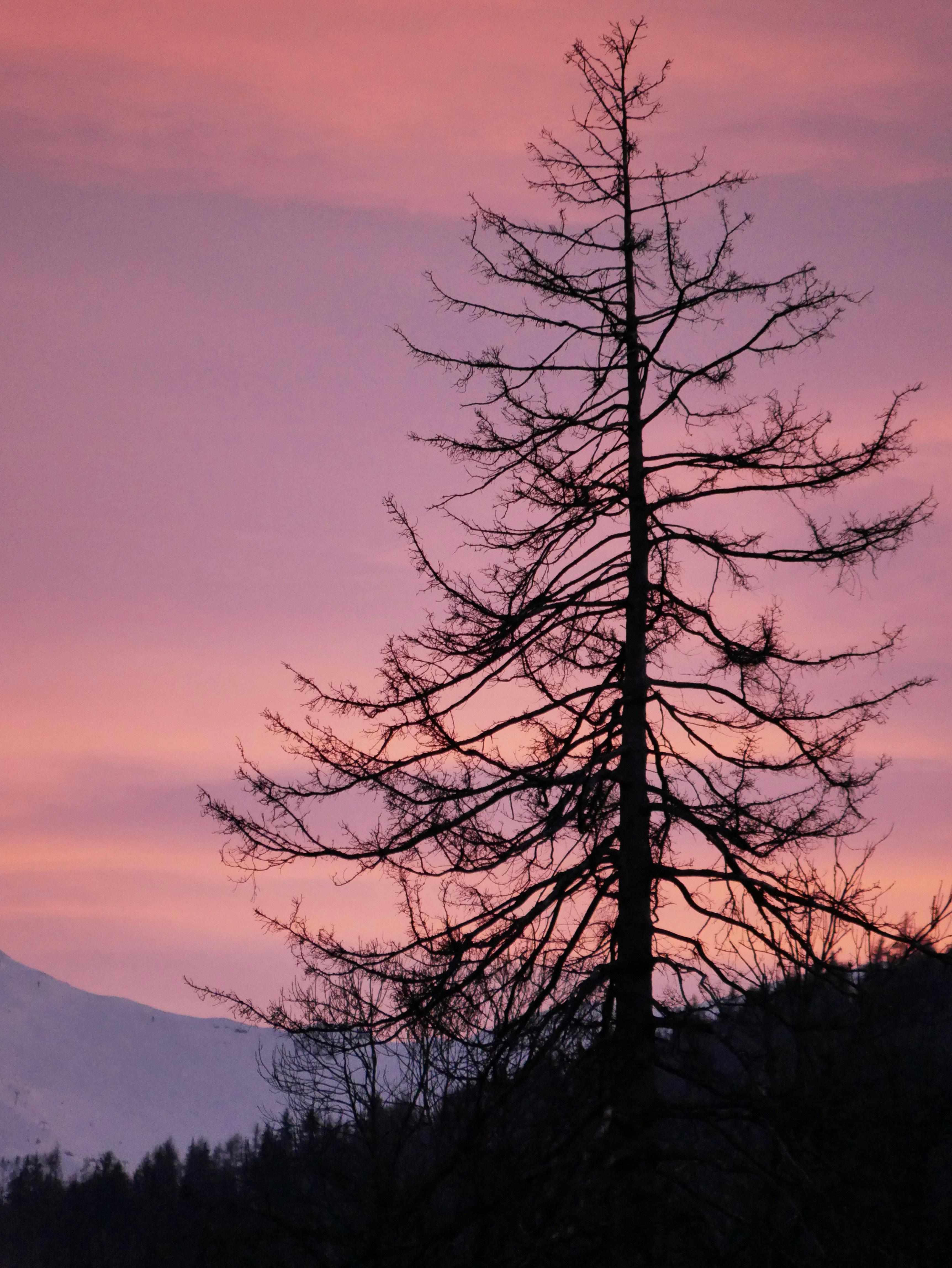 Photo by ruggeroguttilla