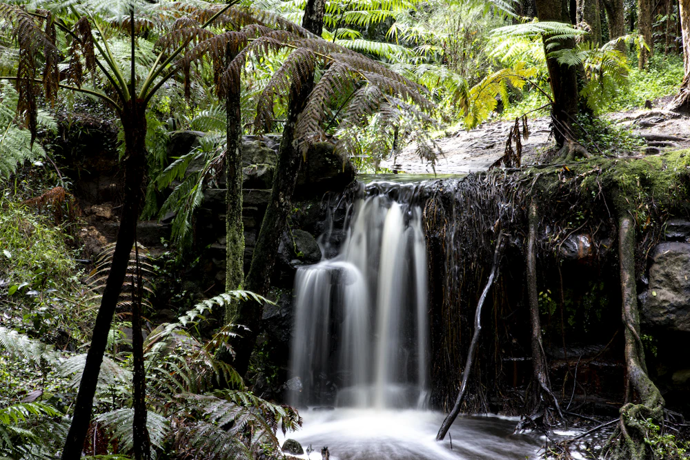 Australian rainforest waterfall