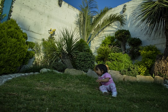 Child safely playing in a restored garden
