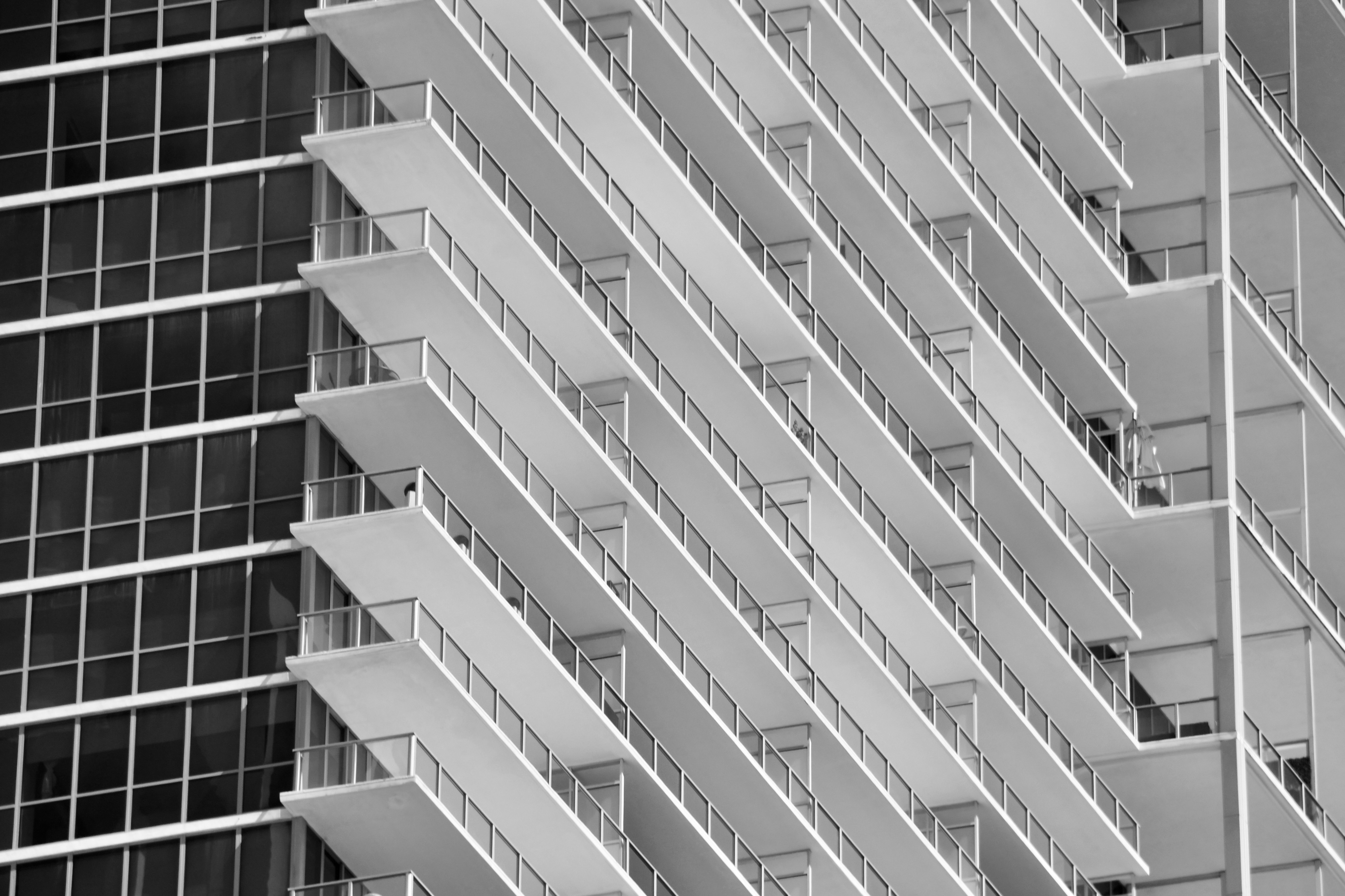 Photo by signorsmith