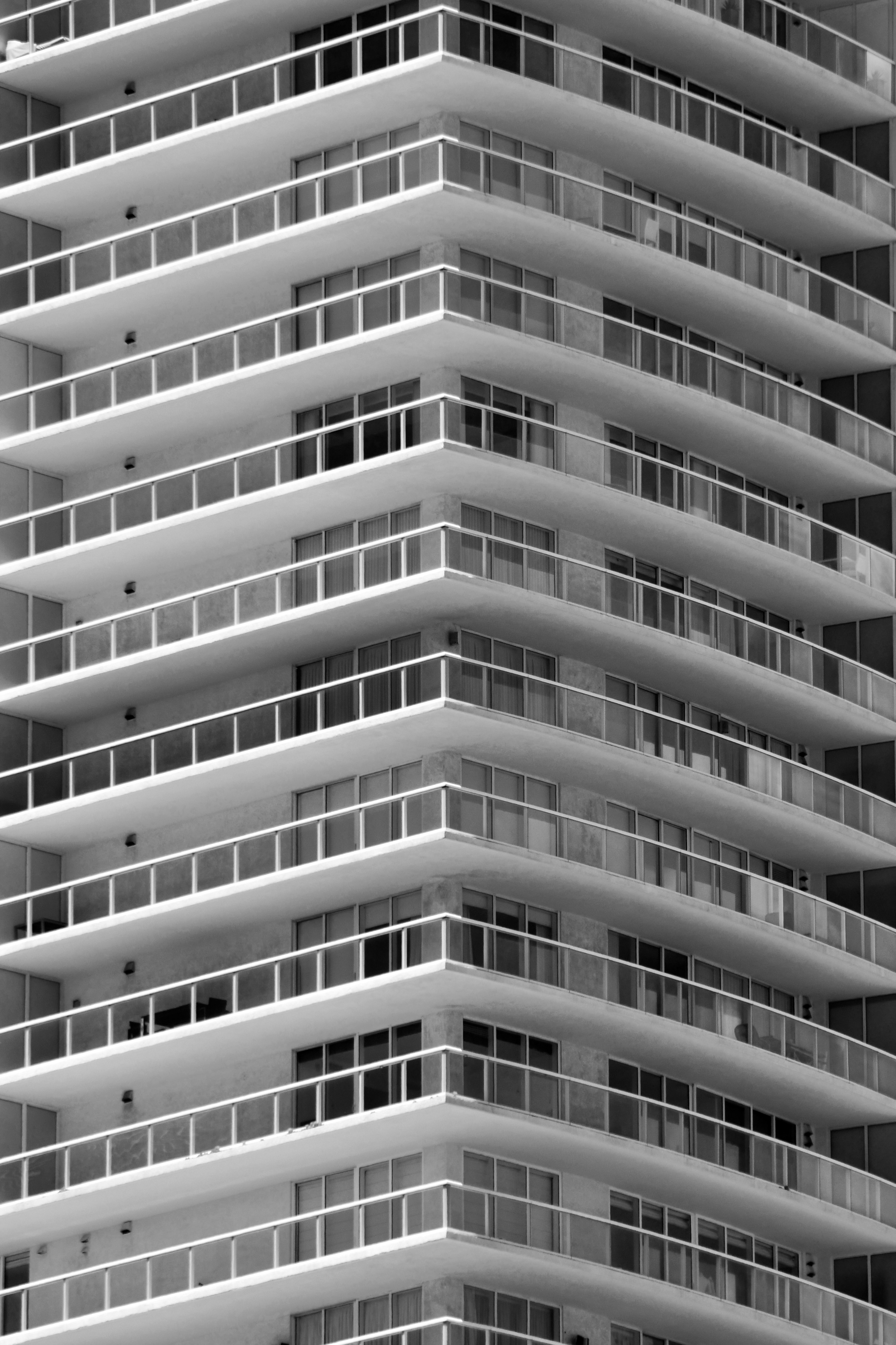 Photo by signorsmith