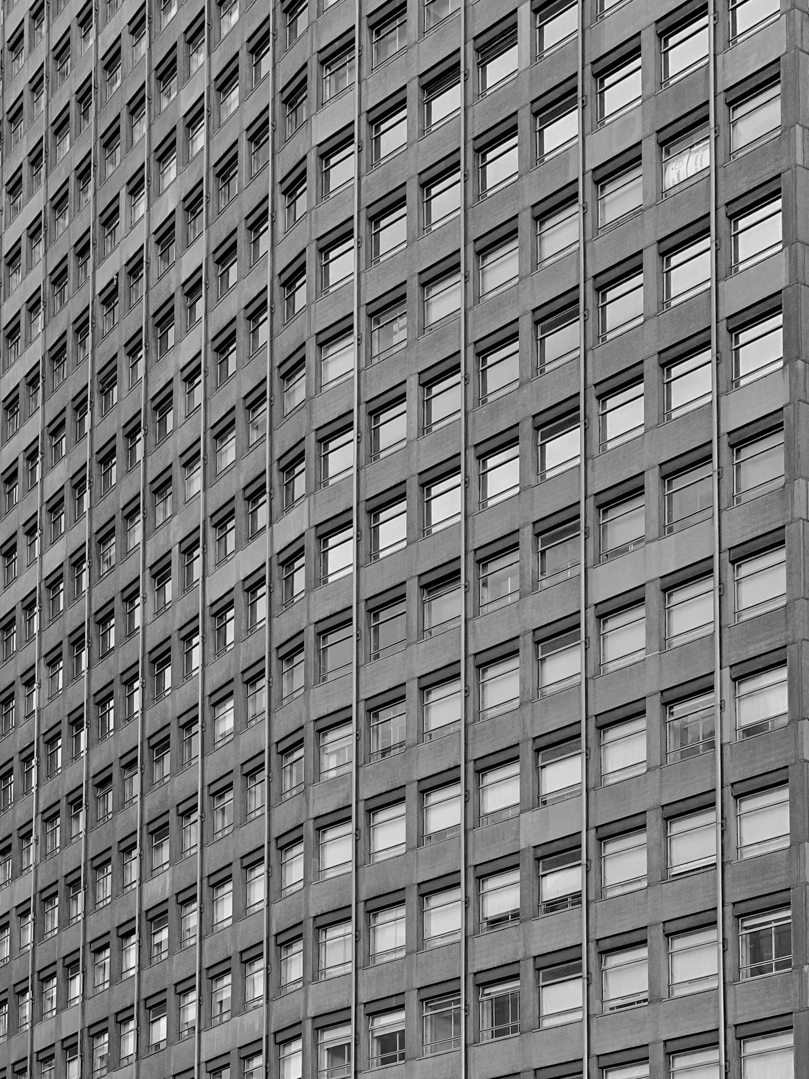 Photo by signorsmith