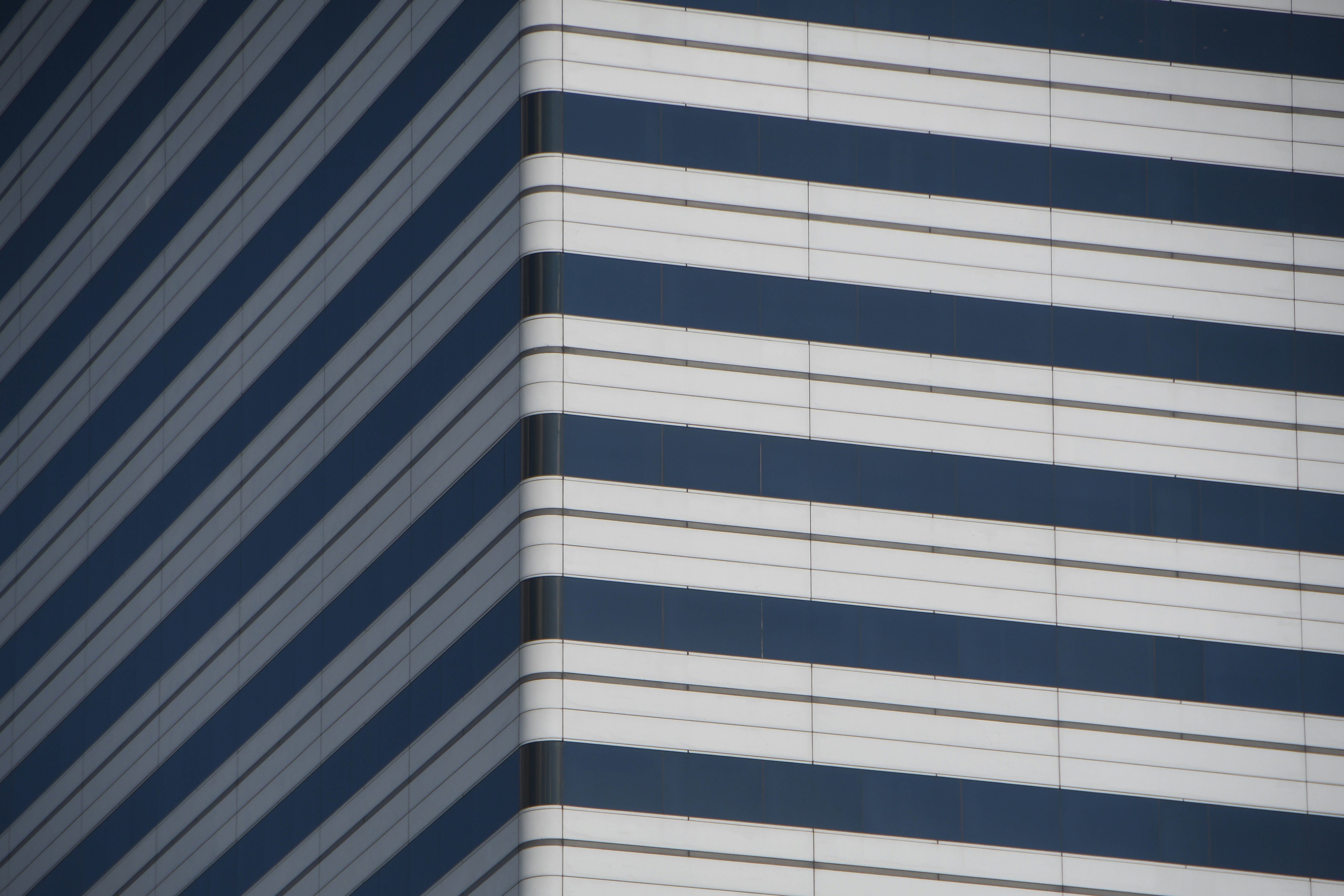 Photo by signorsmith