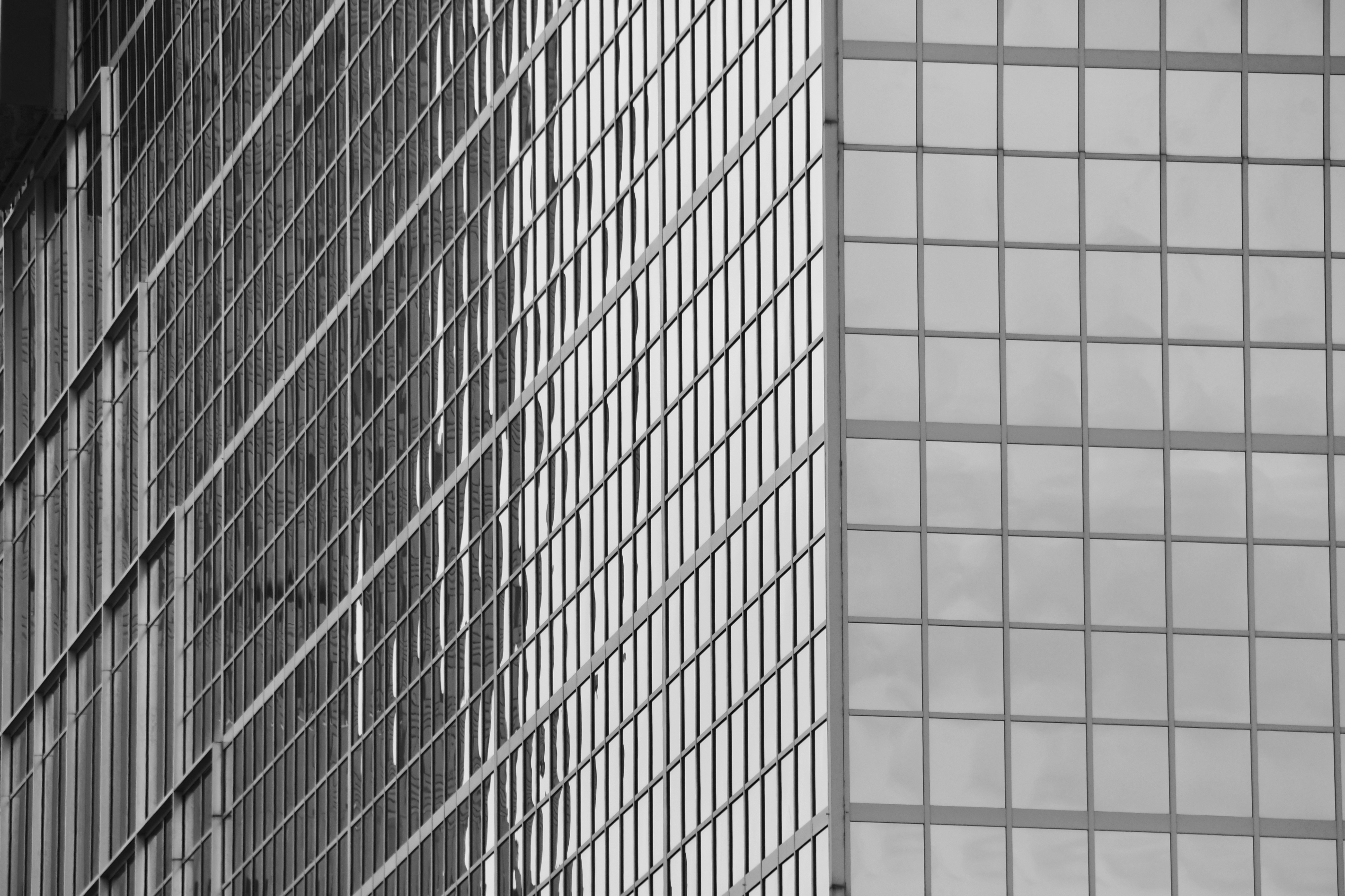 Photo by signorsmith