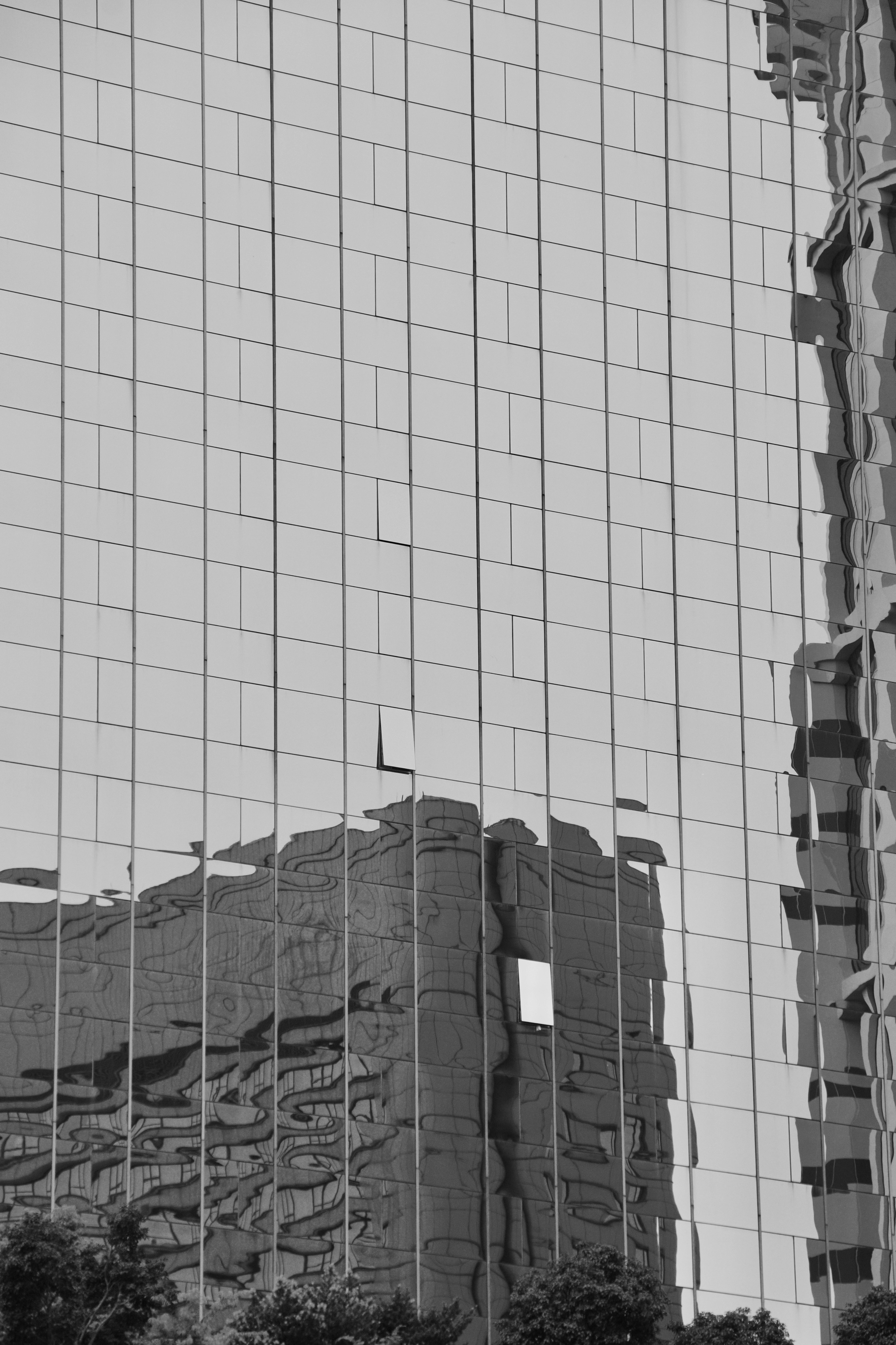 Photo by signorsmith