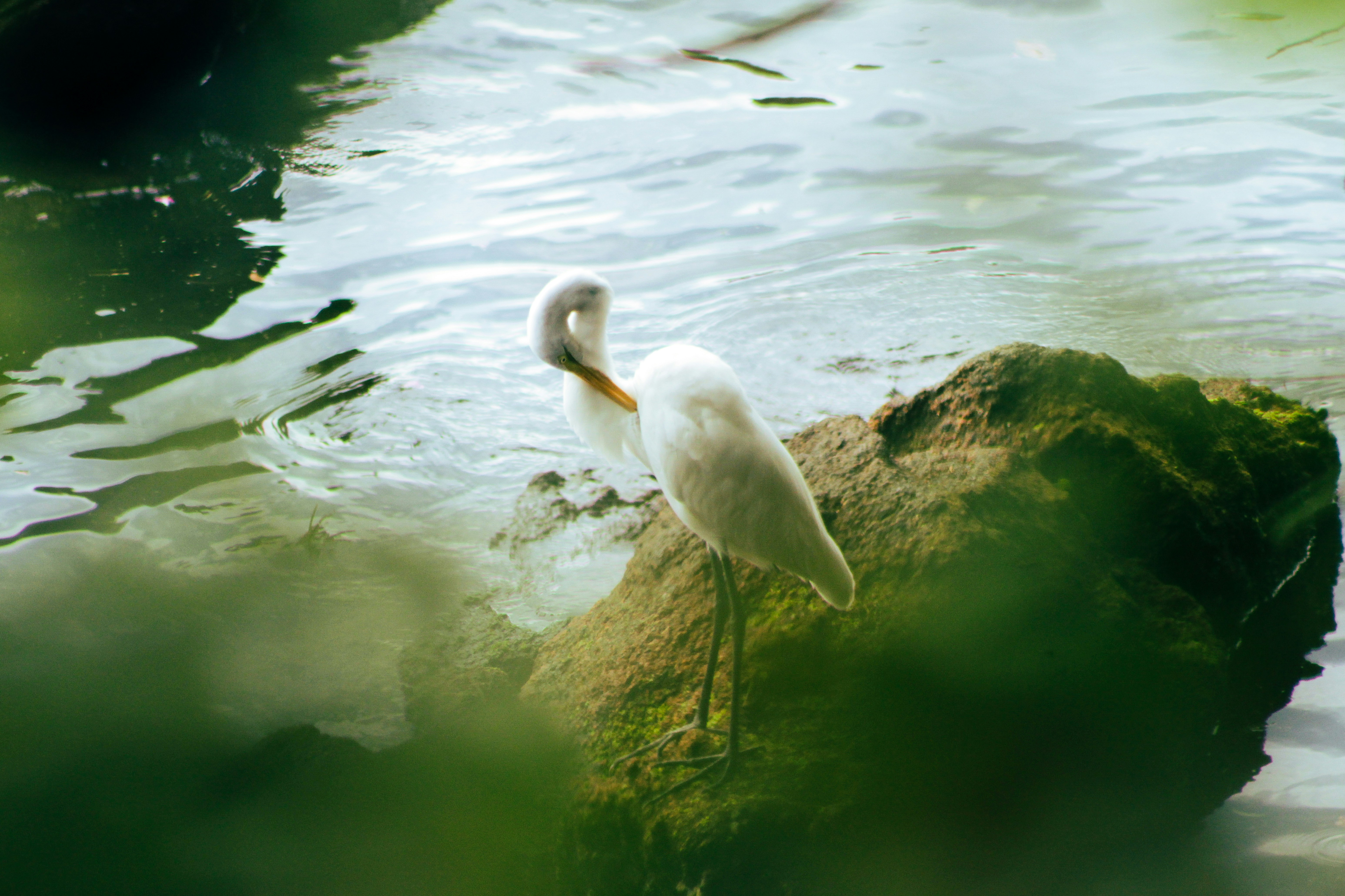 Photo by carolinaalmeida