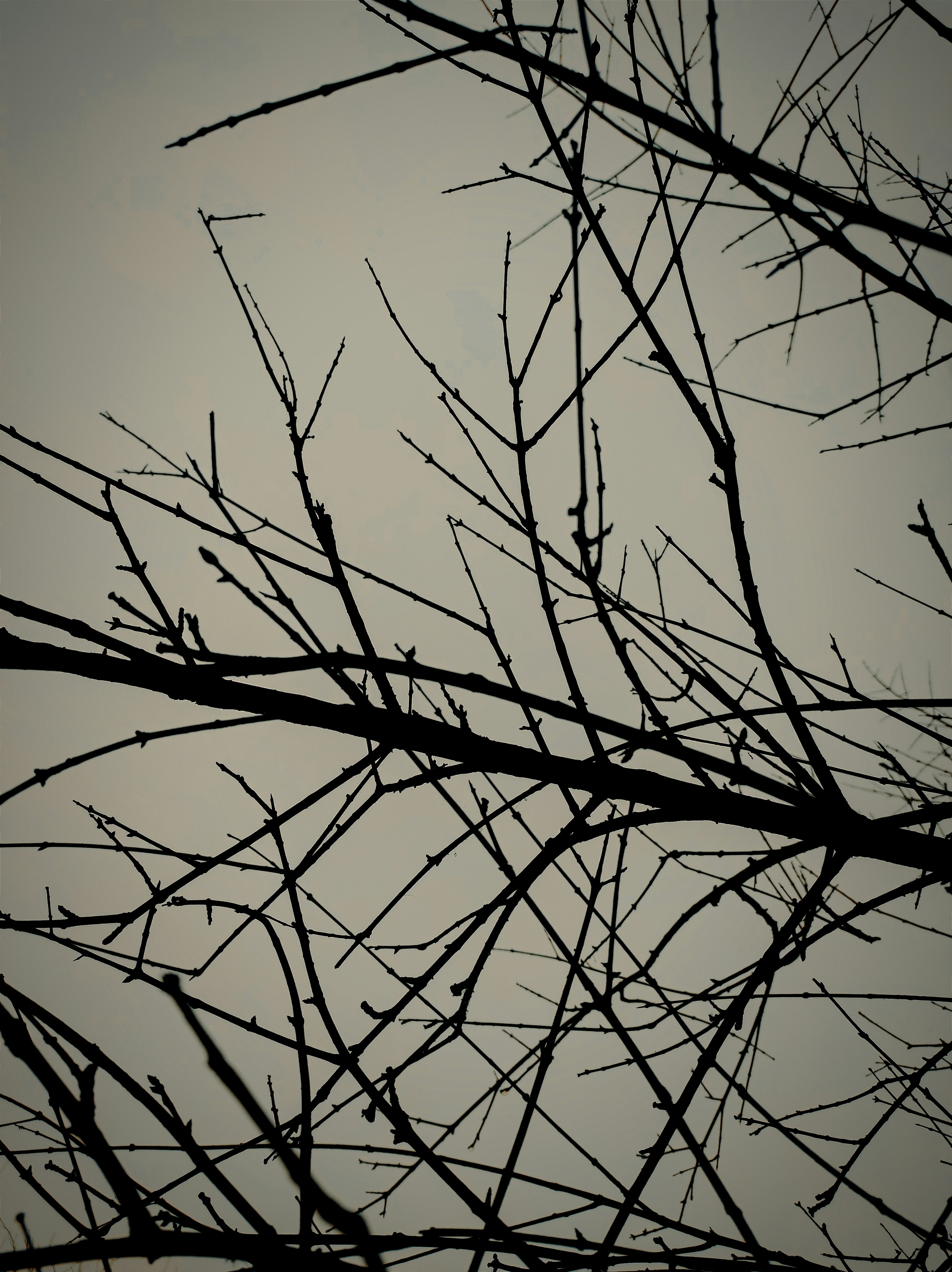 Photo by mudassar3003