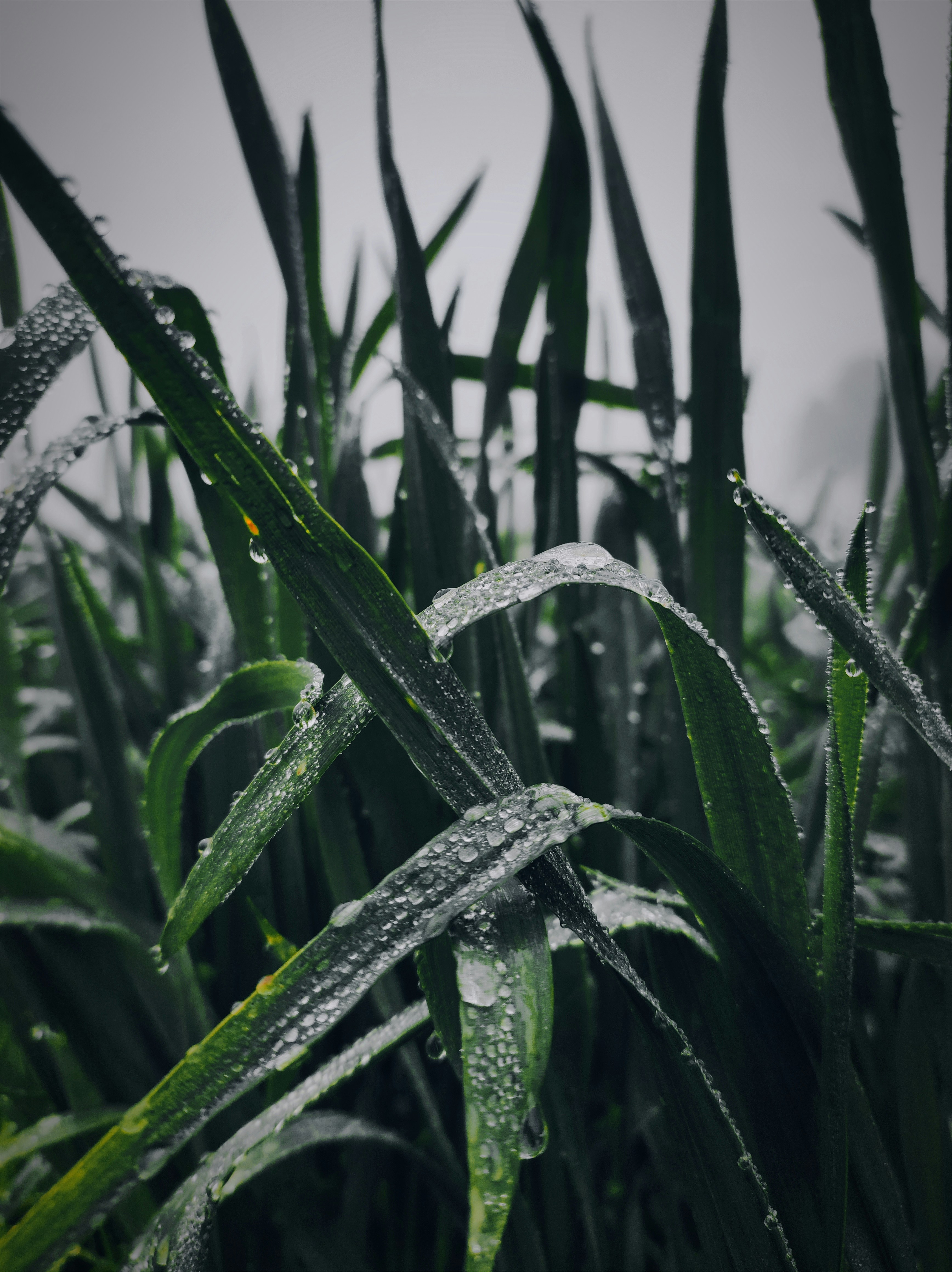 Photo by mudassar3003