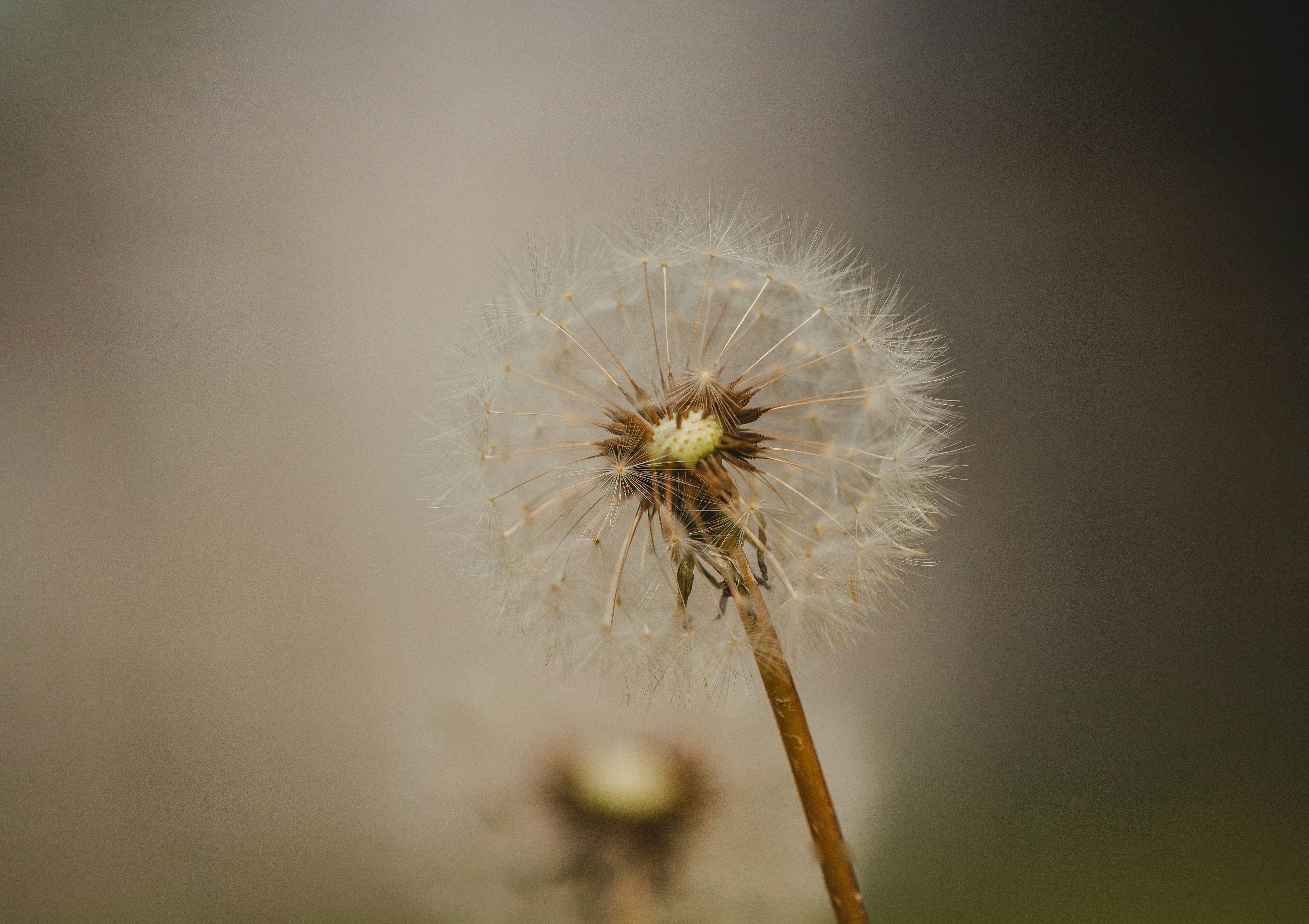 Photo by emmanuelphaeton