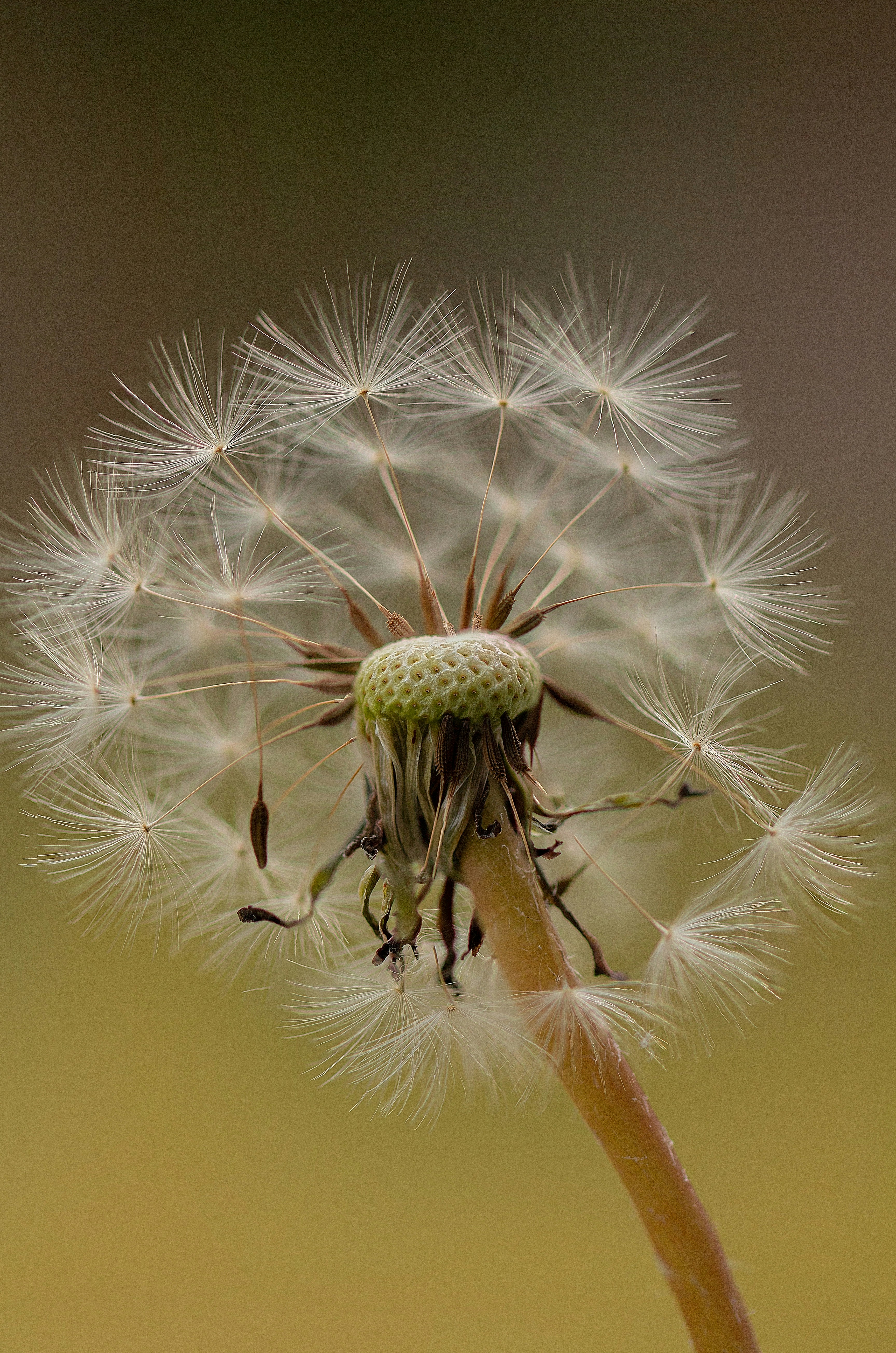 Photo by emmanuelphaeton