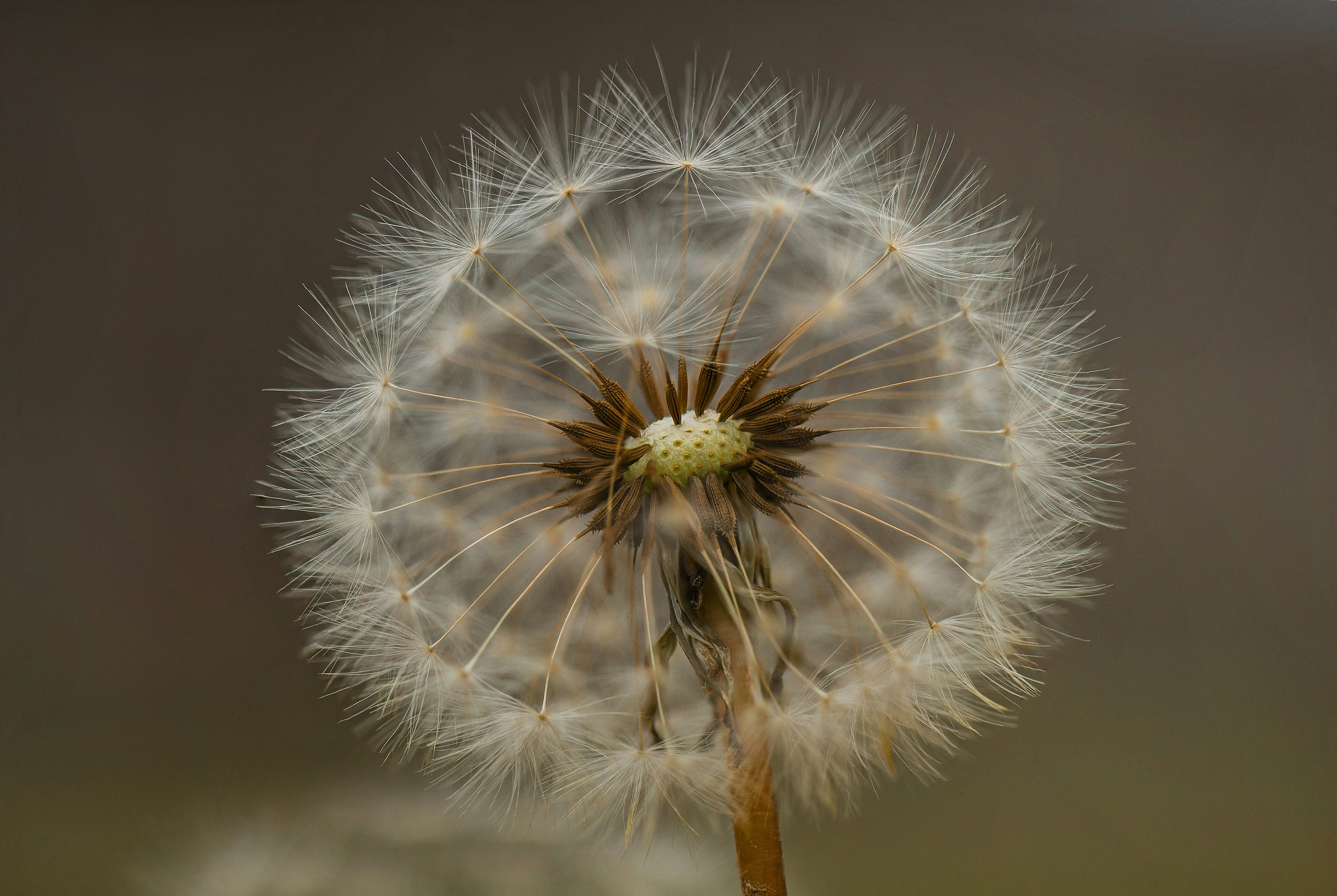 Photo by emmanuelphaeton