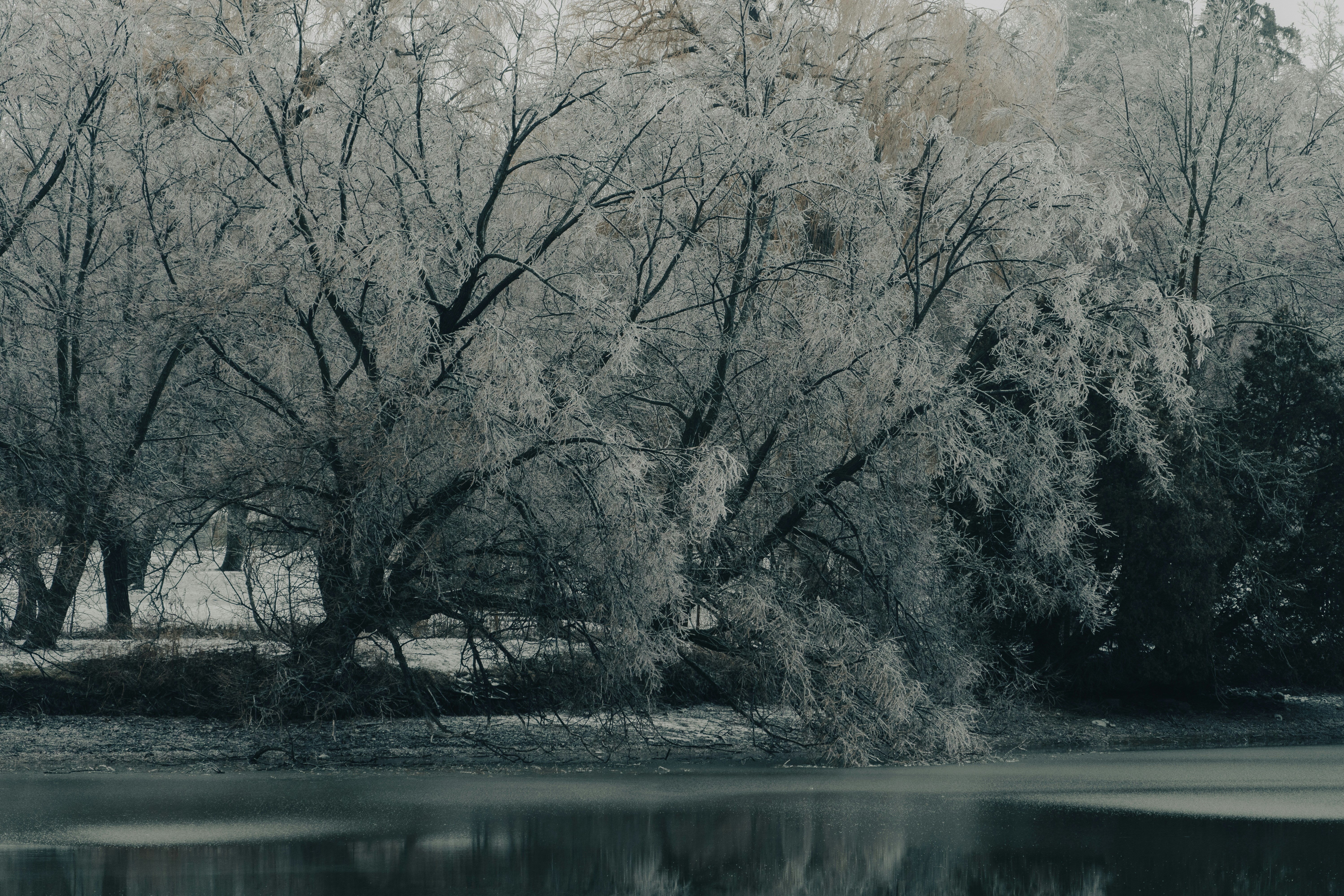 Photo by itsgettinranney