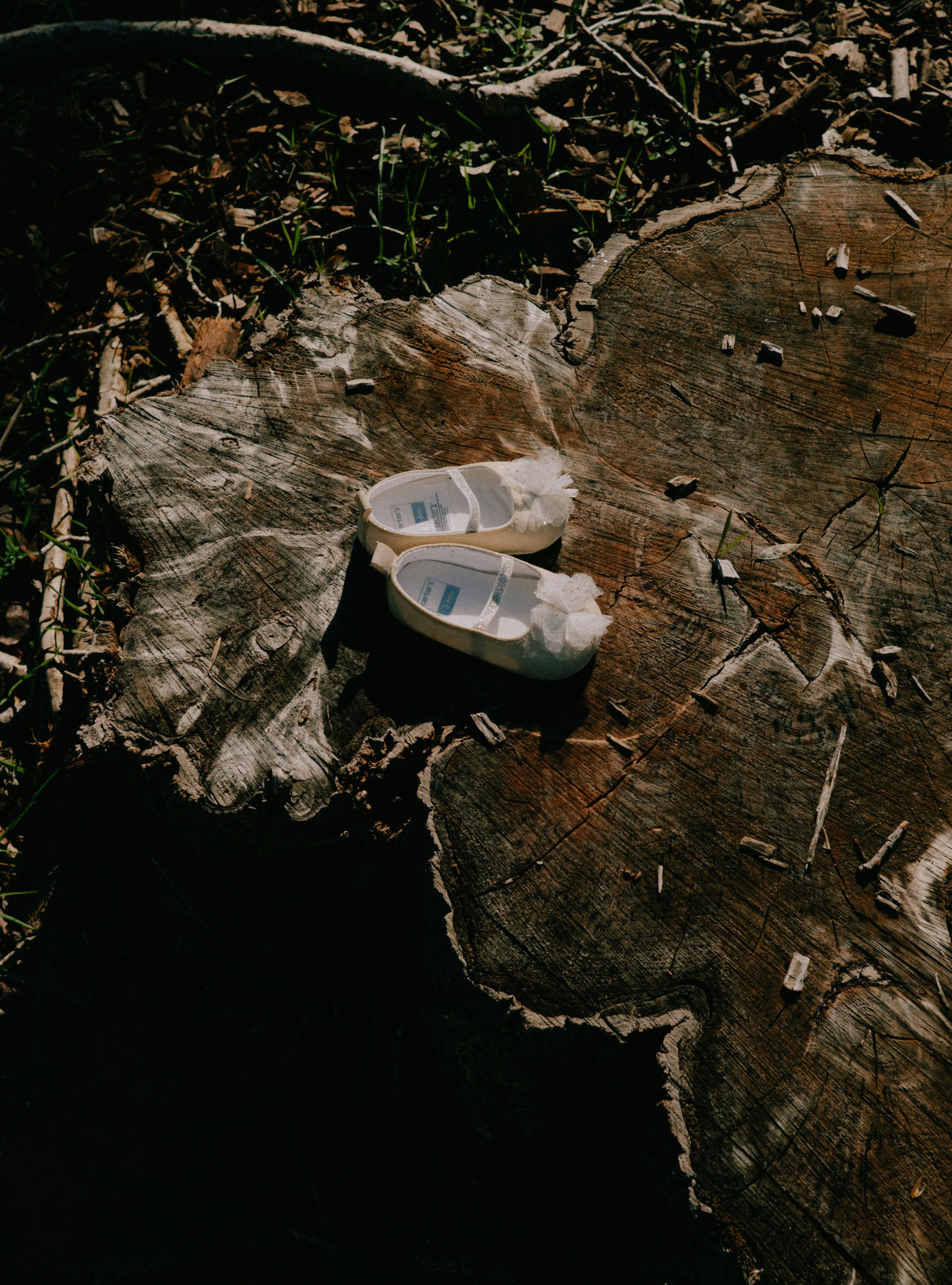 a pair of white shoes sitting on top of a tree stump