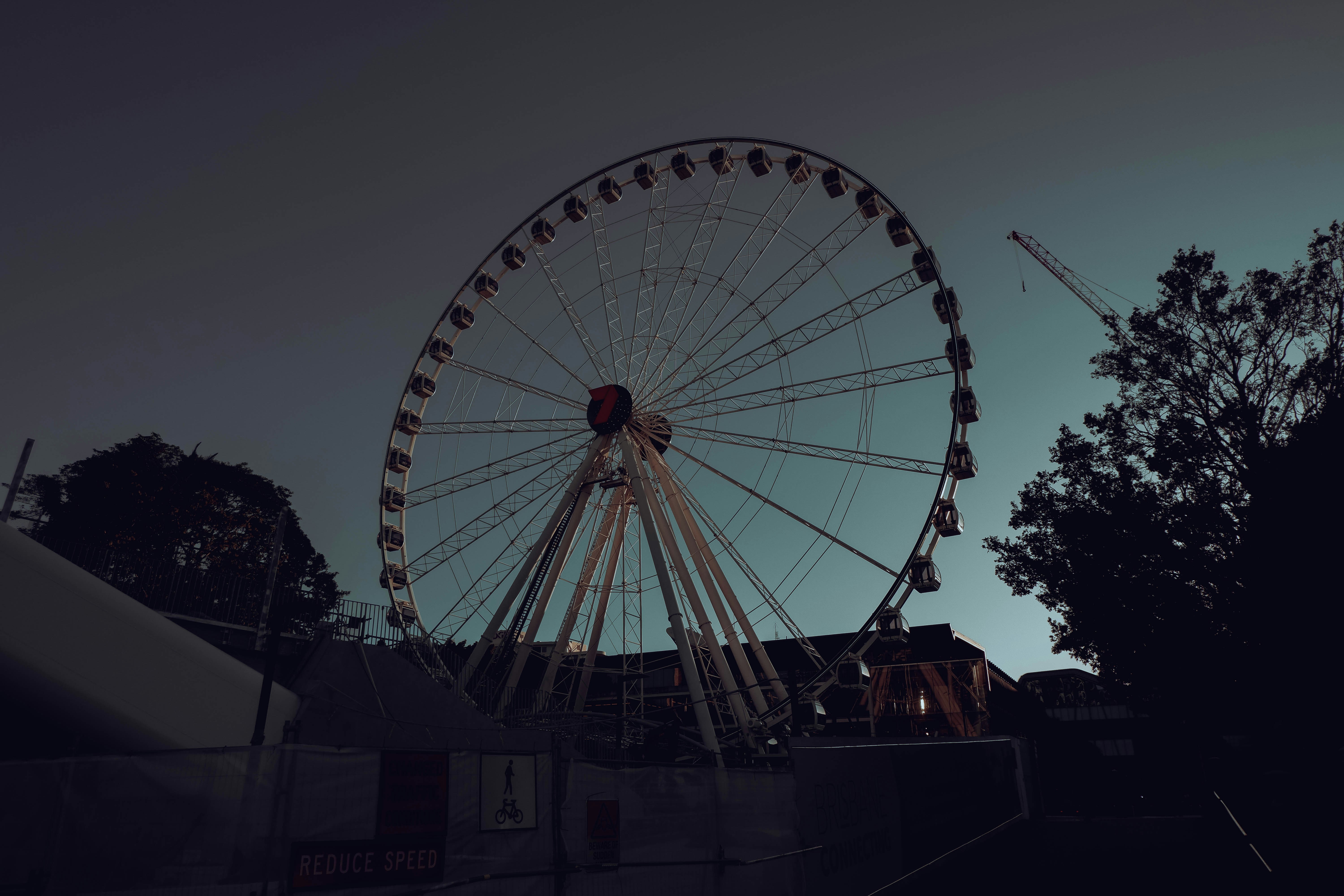 a large ferris wheel sitting in the middle of a park