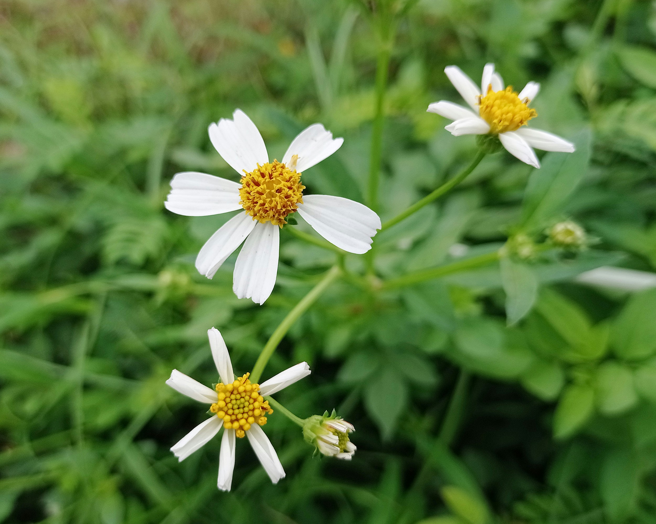 Photo by arkan_maker