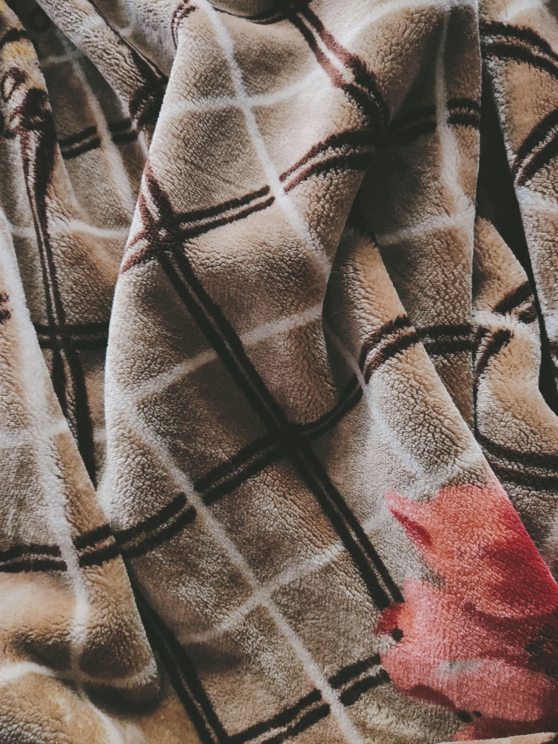 a close up of a tie with a flower on it