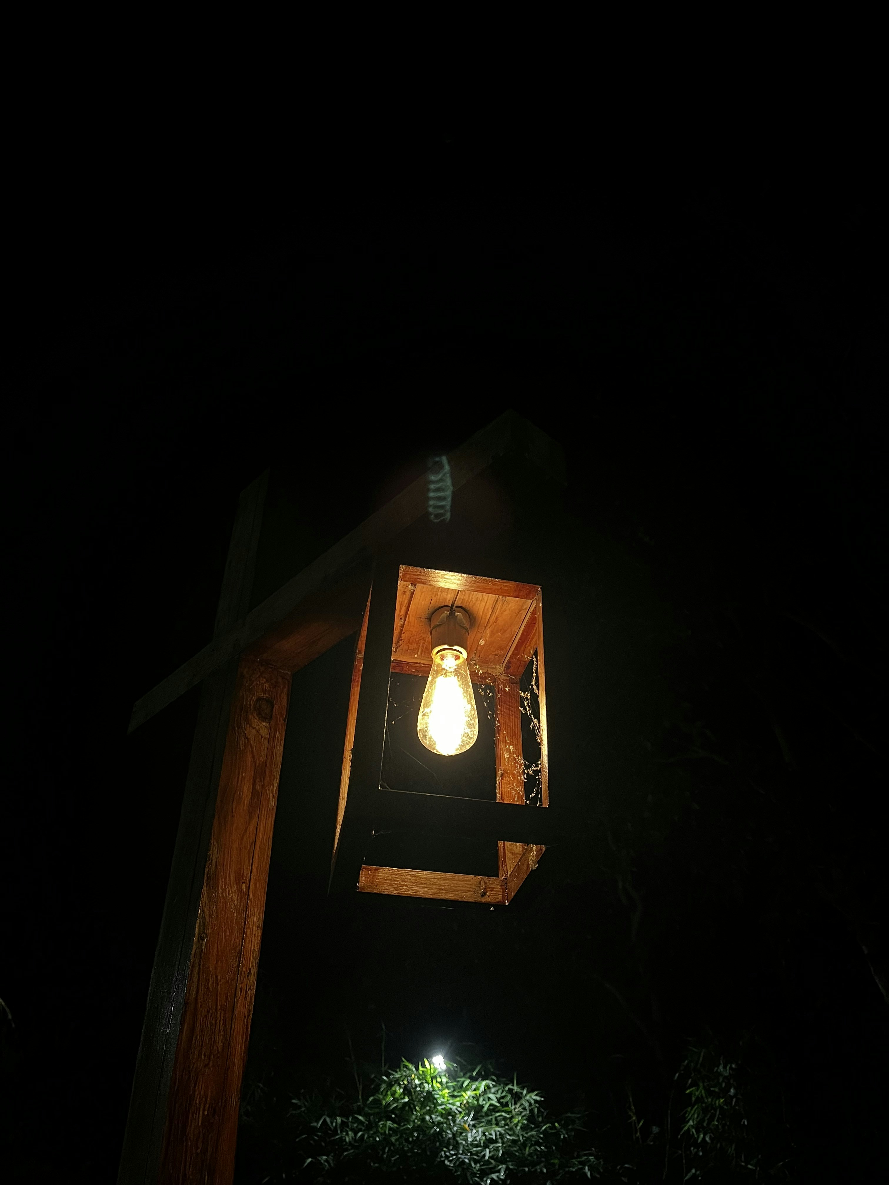 Photo by mehul_is_it