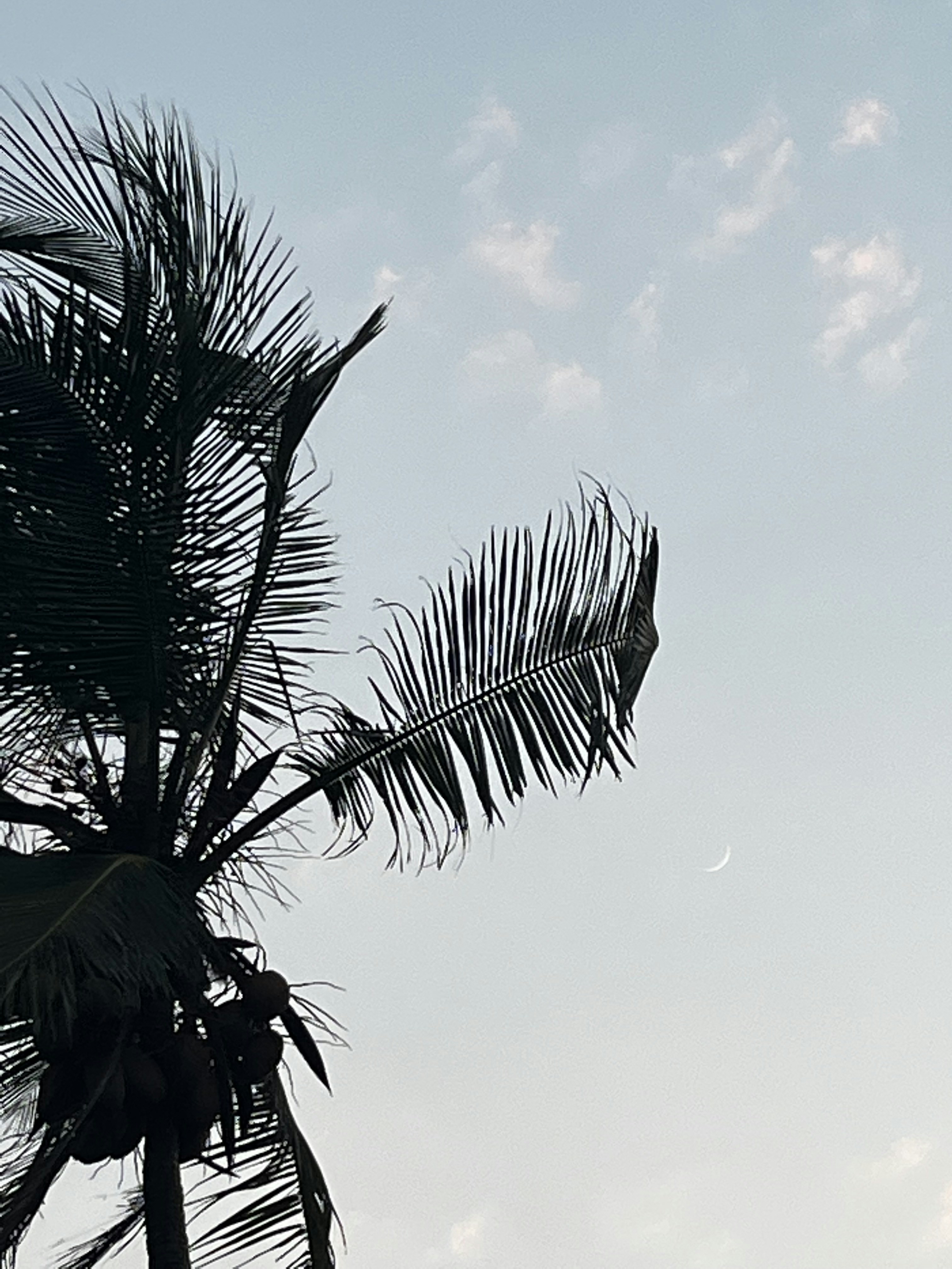 Photo by mehul_is_it