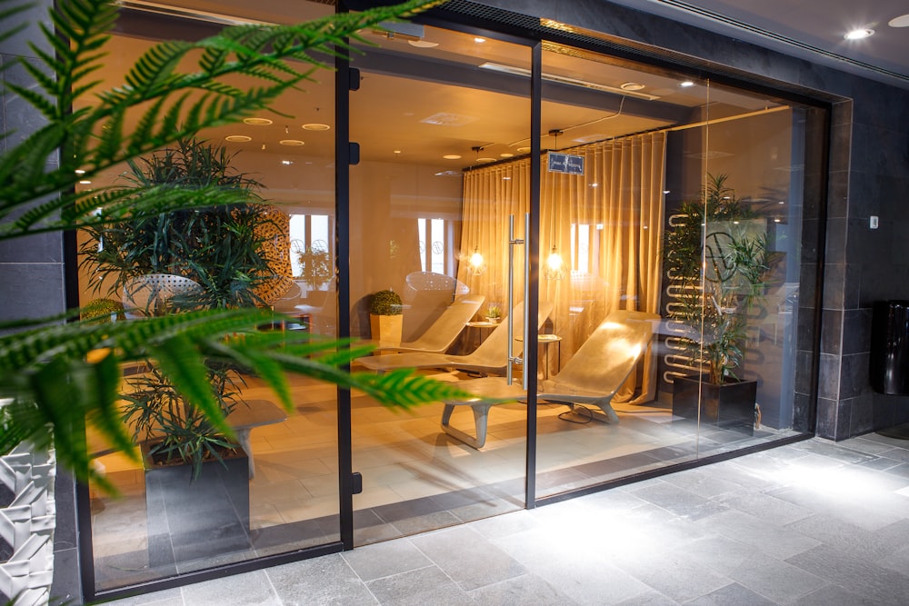 a room with a glass door that has a plant in it